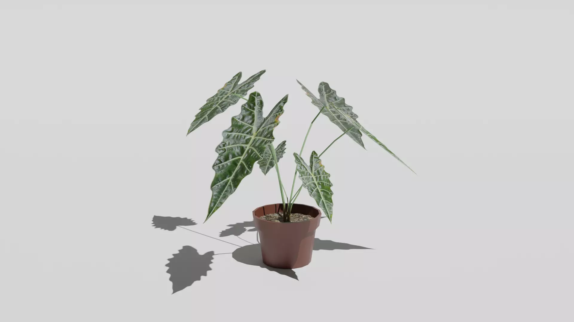 Potted indoor plant Free low-poly 3D model