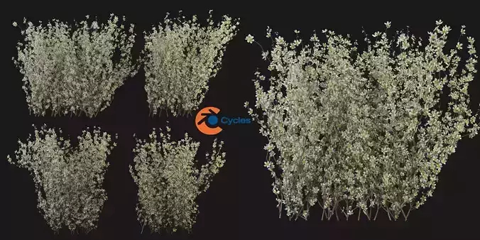 Collection plant vol 355 - blender model 