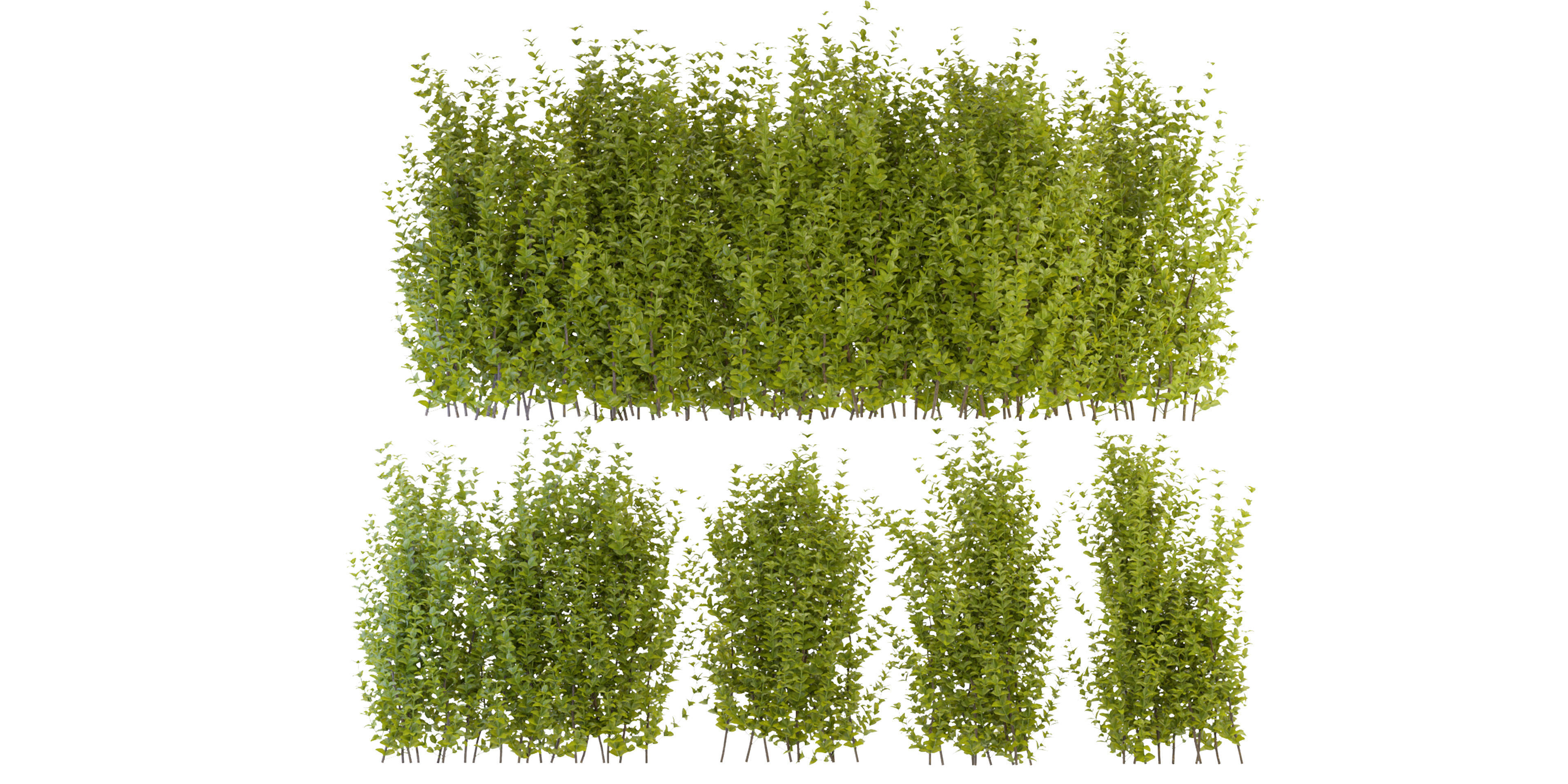 Collection plant vol 356 - blender model  3D model_1