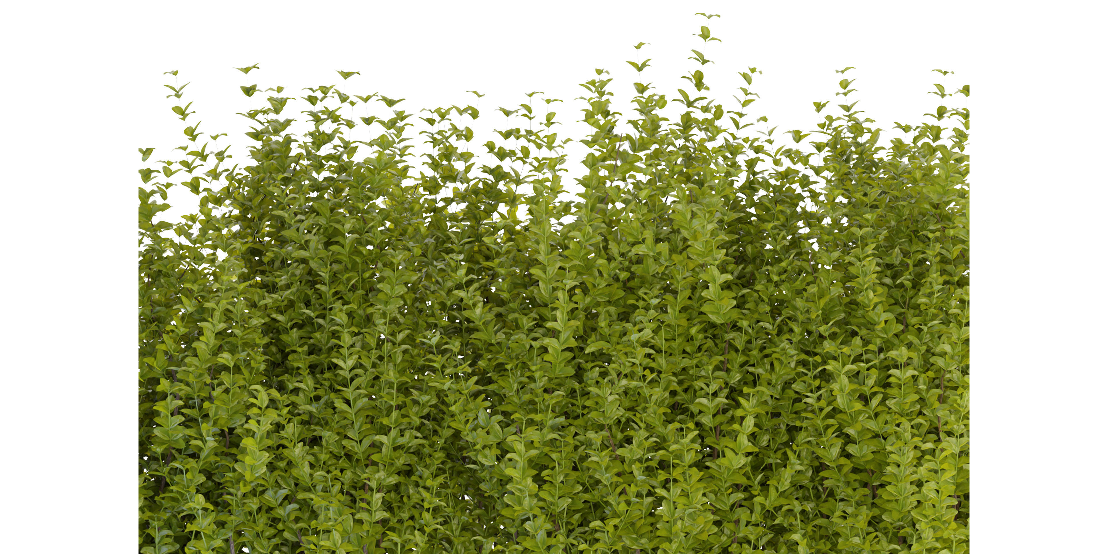 Collection plant vol 356 - blender model  3D model_2