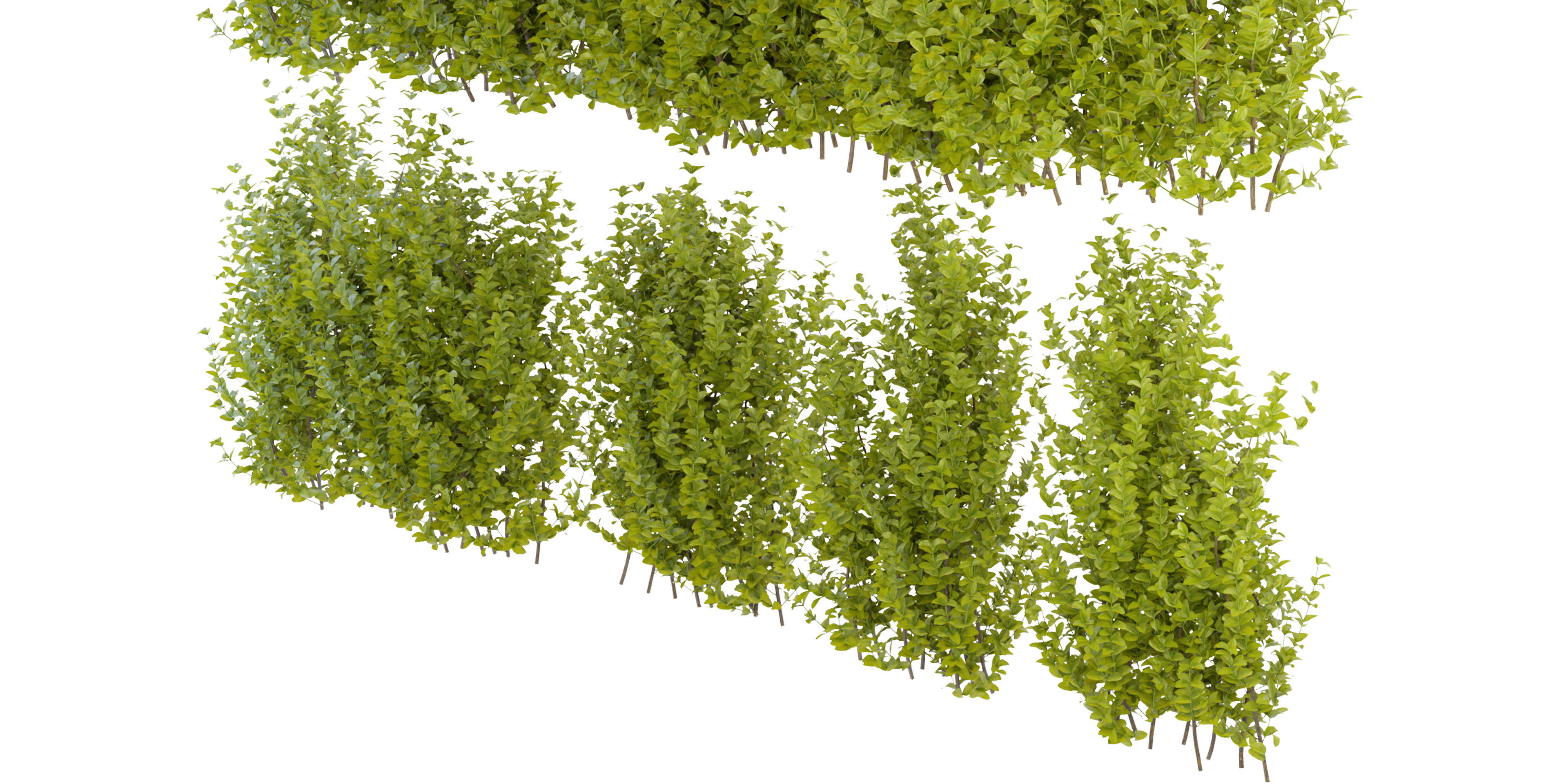 Collection plant vol 356 - blender model  3D model_3