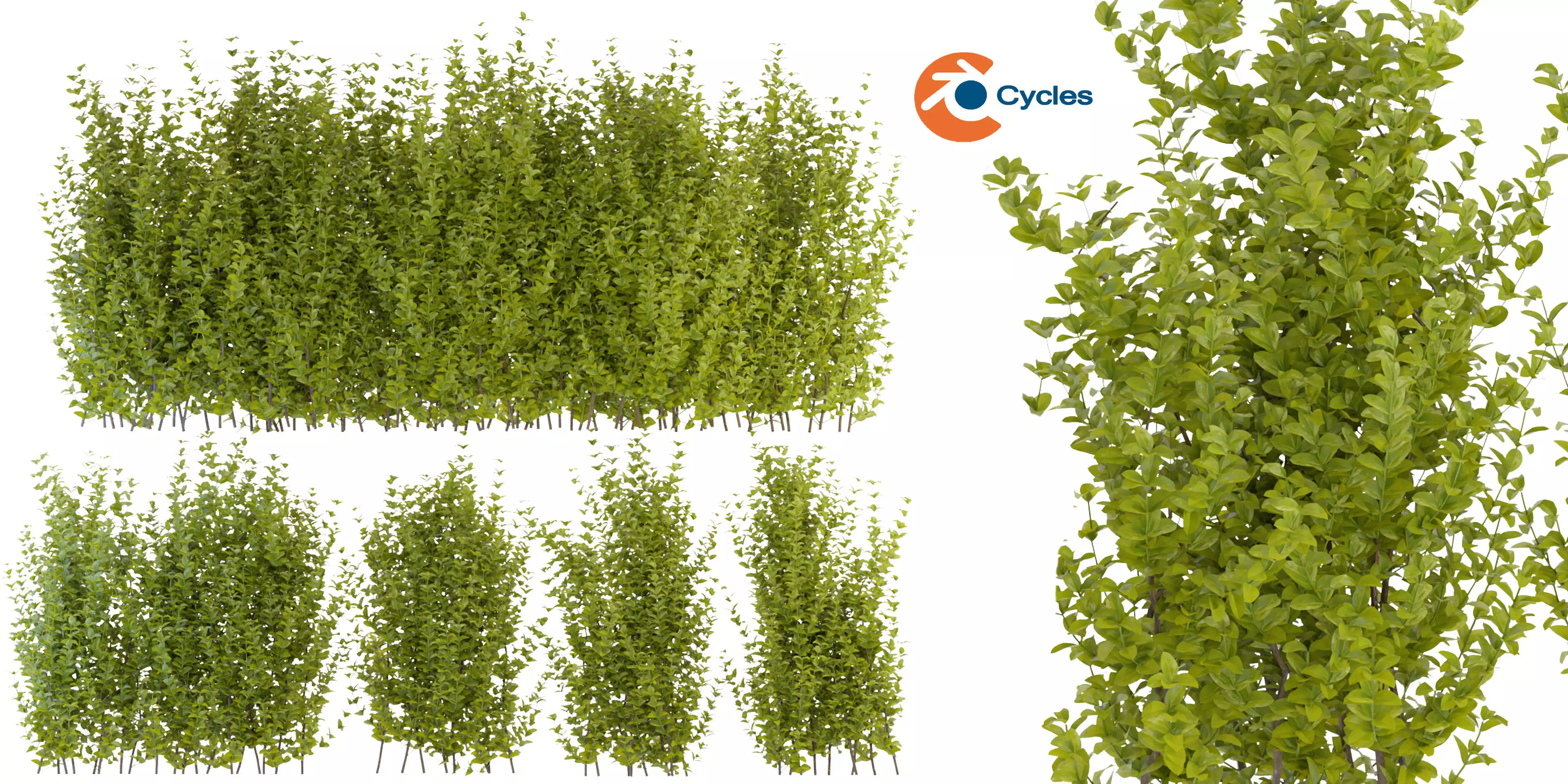 Collection plant vol 356 - blender model  3D model_0