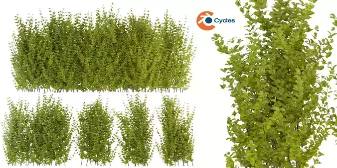 Collection plant vol 356 - blender model 