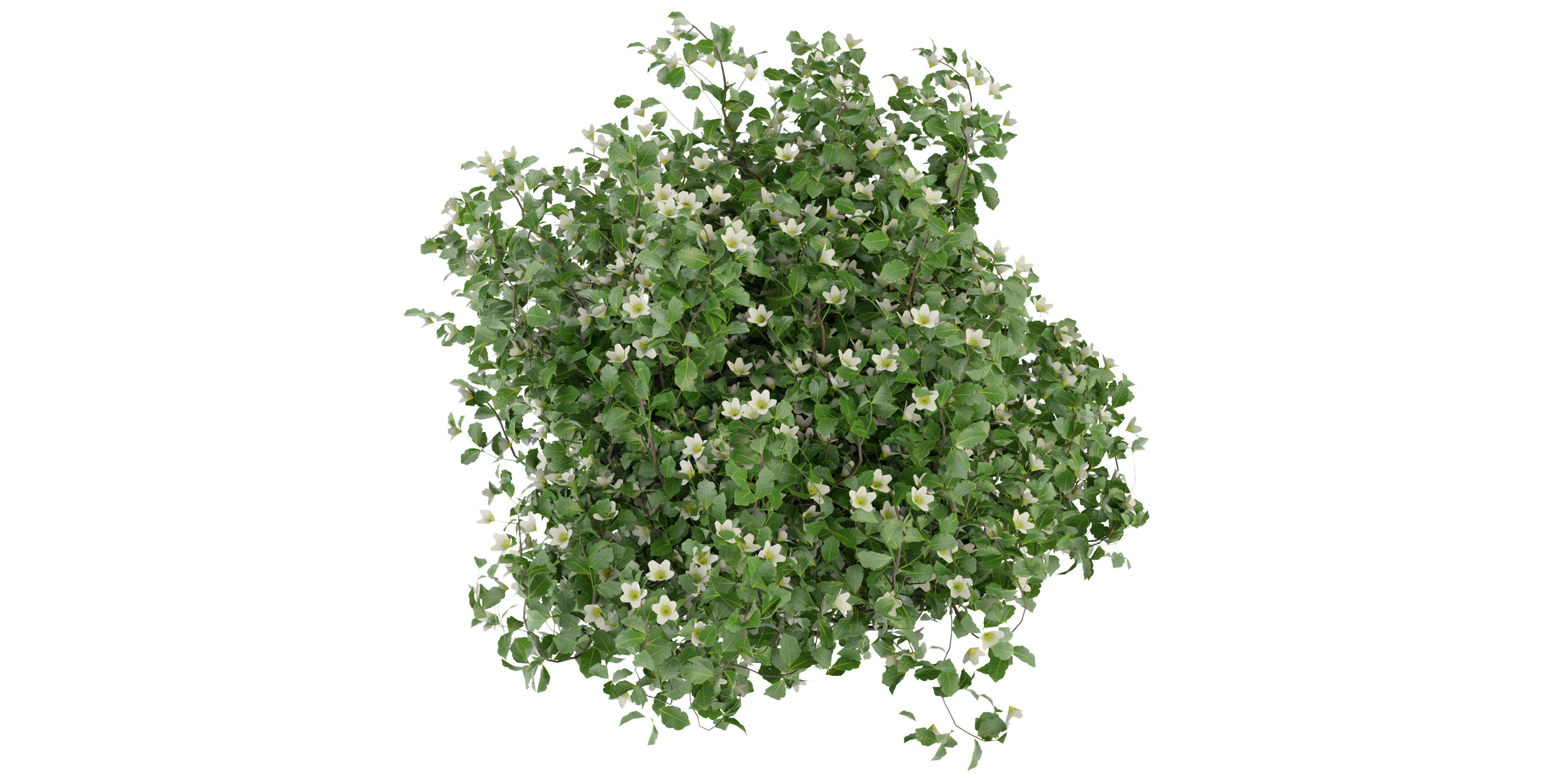 Collection plant vol 357 - blender model  3D model_3