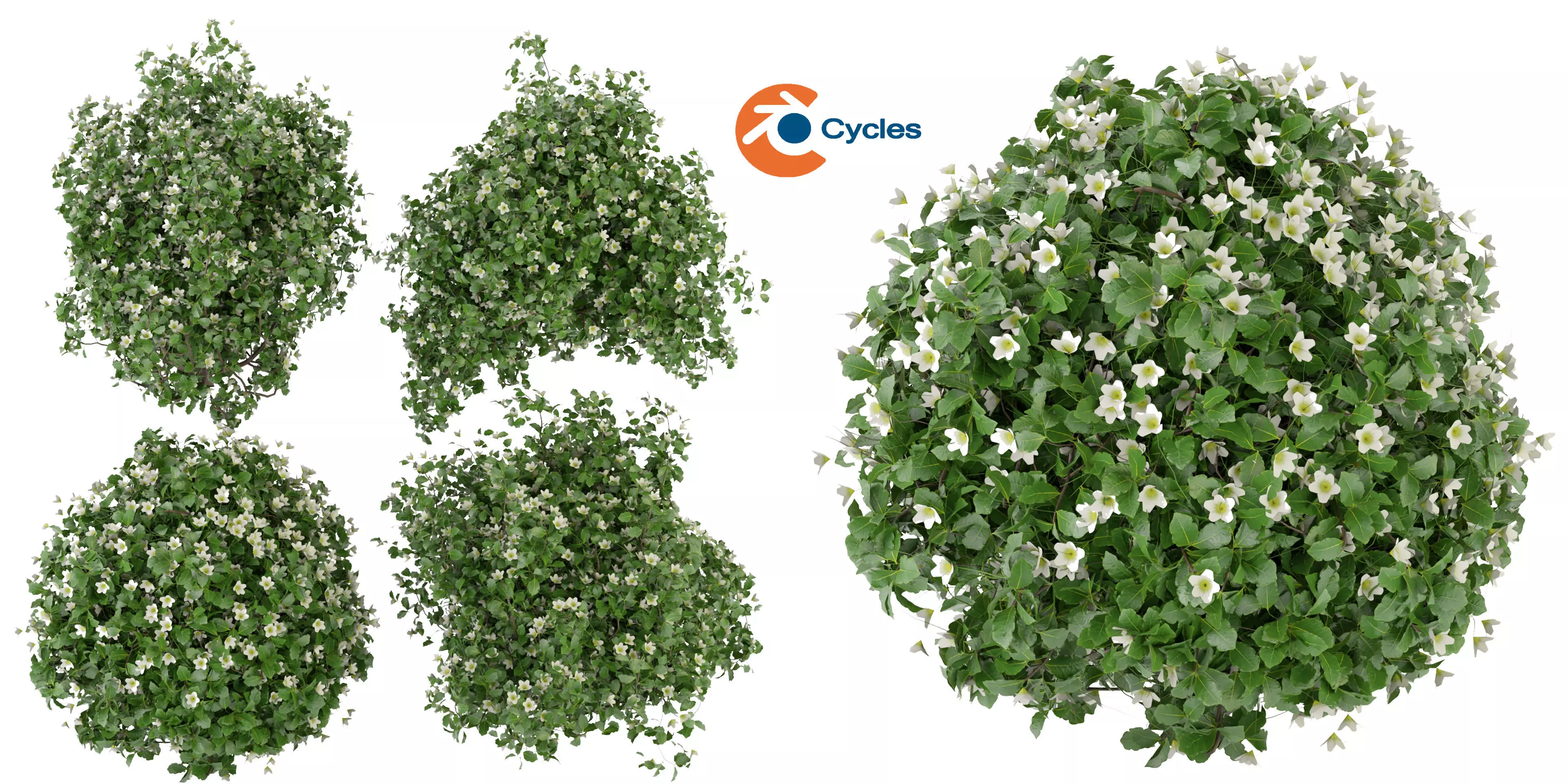 Collection plant vol 357 - blender model  3D model_0