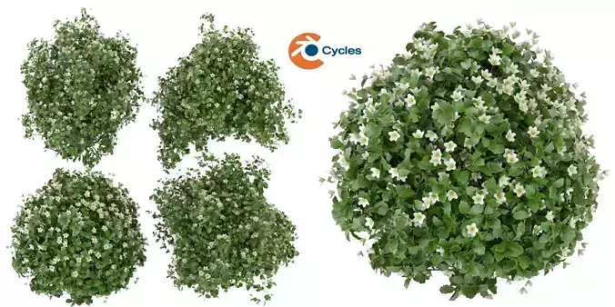 Collection plant vol 357 - blender model 