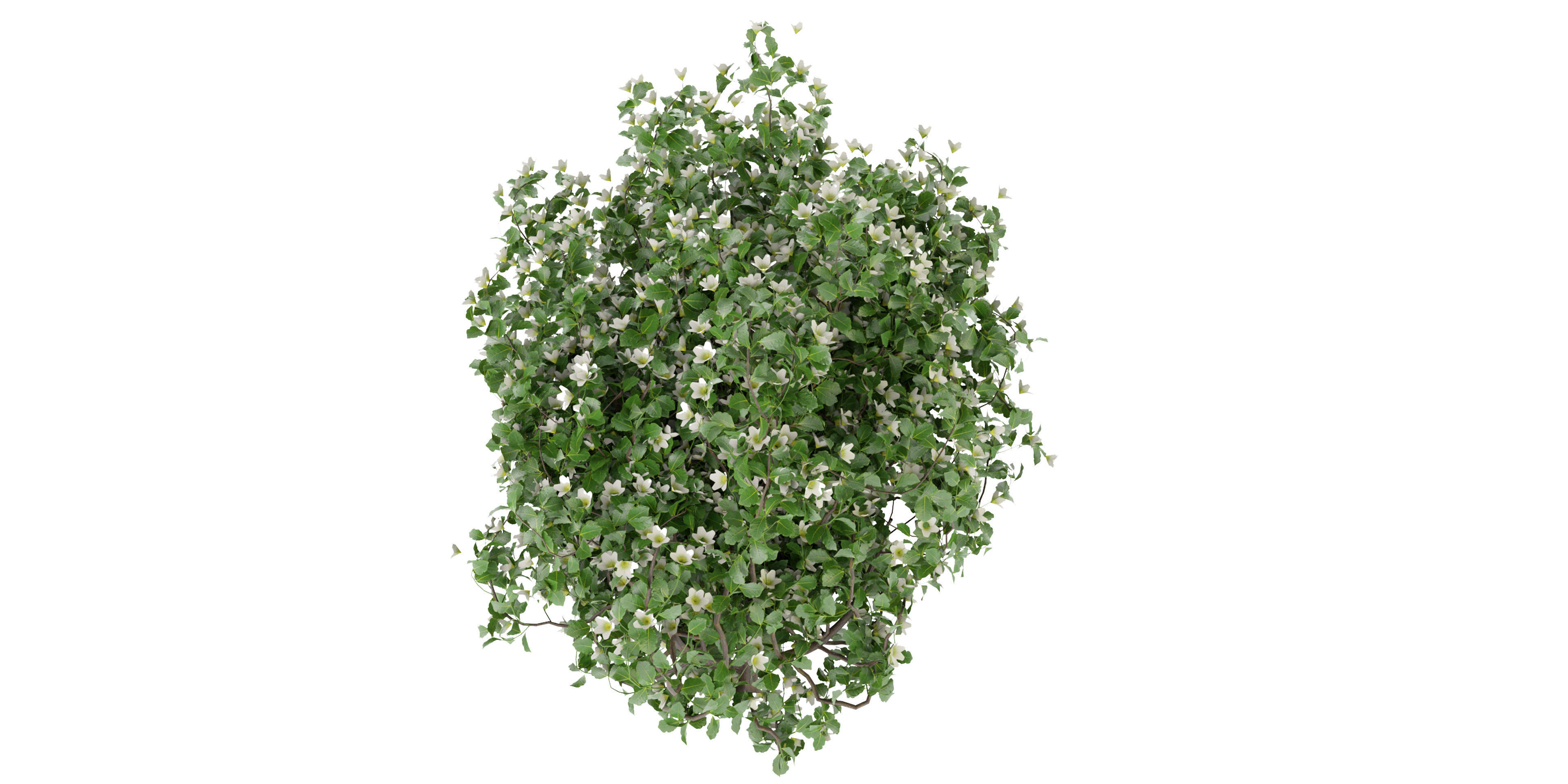 Collection plant vol 357 - blender model  3D model_5