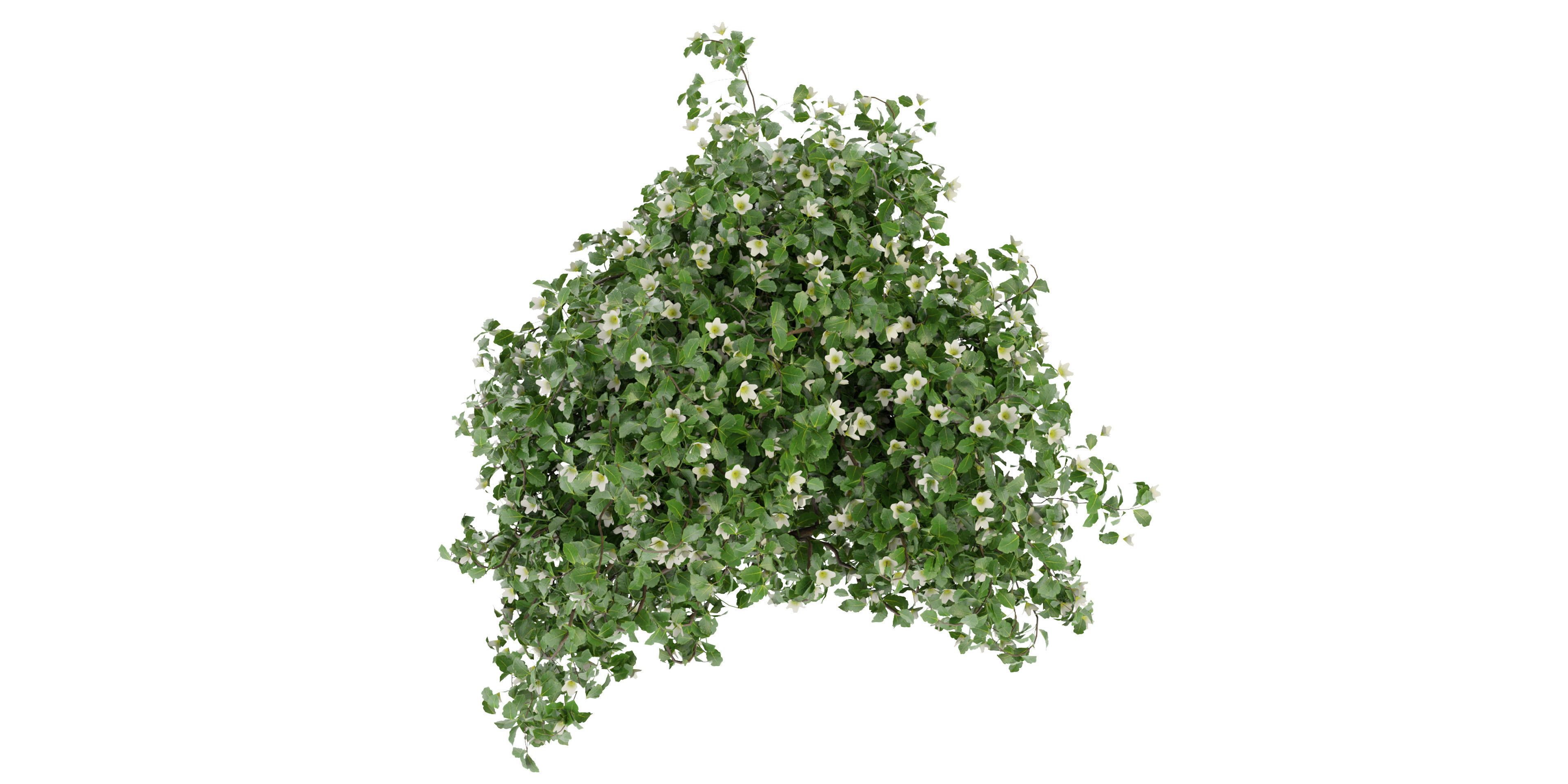 Collection plant vol 357 - blender model  3D model_4