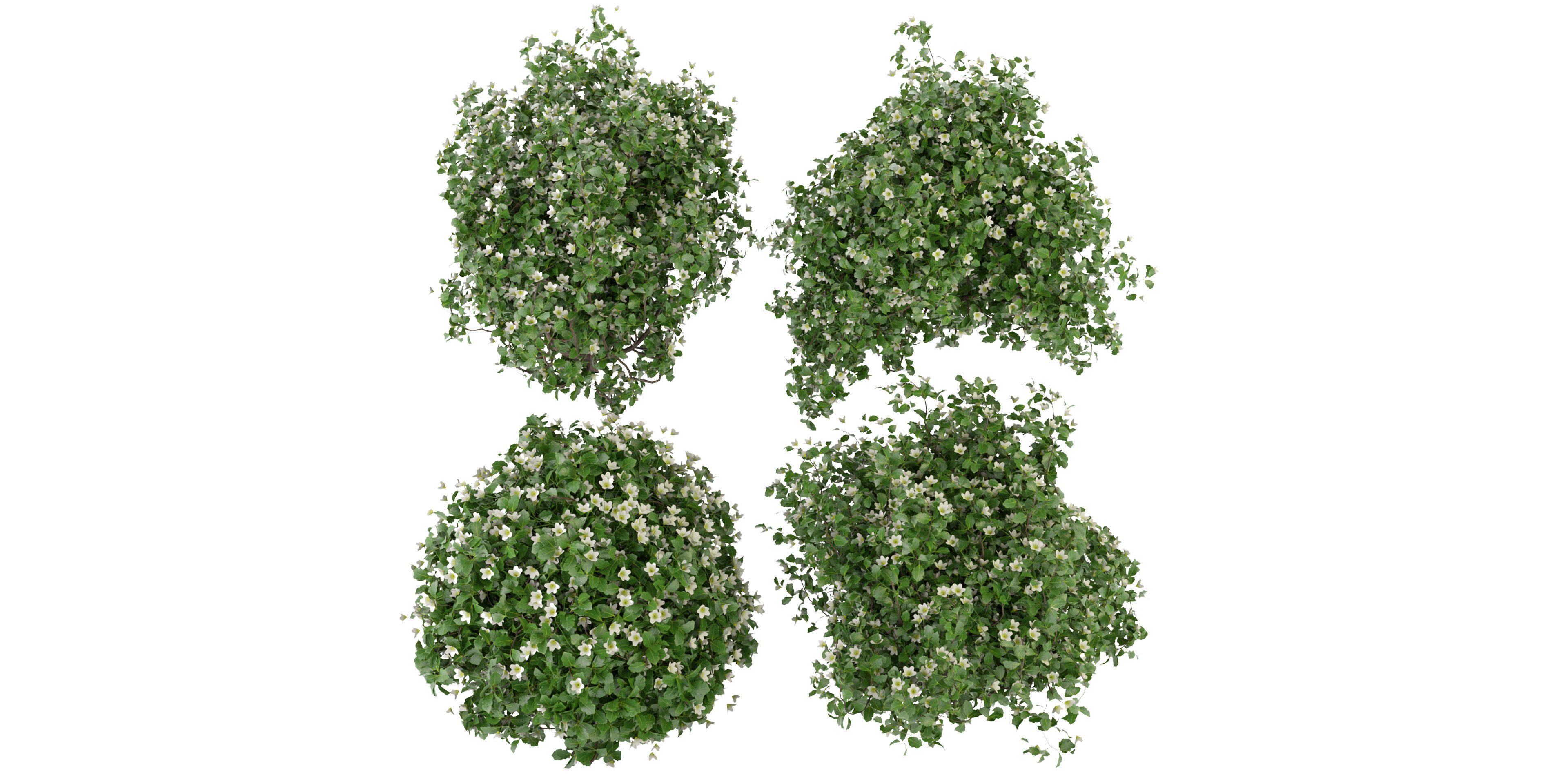 Collection plant vol 357 - blender model  3D model_1