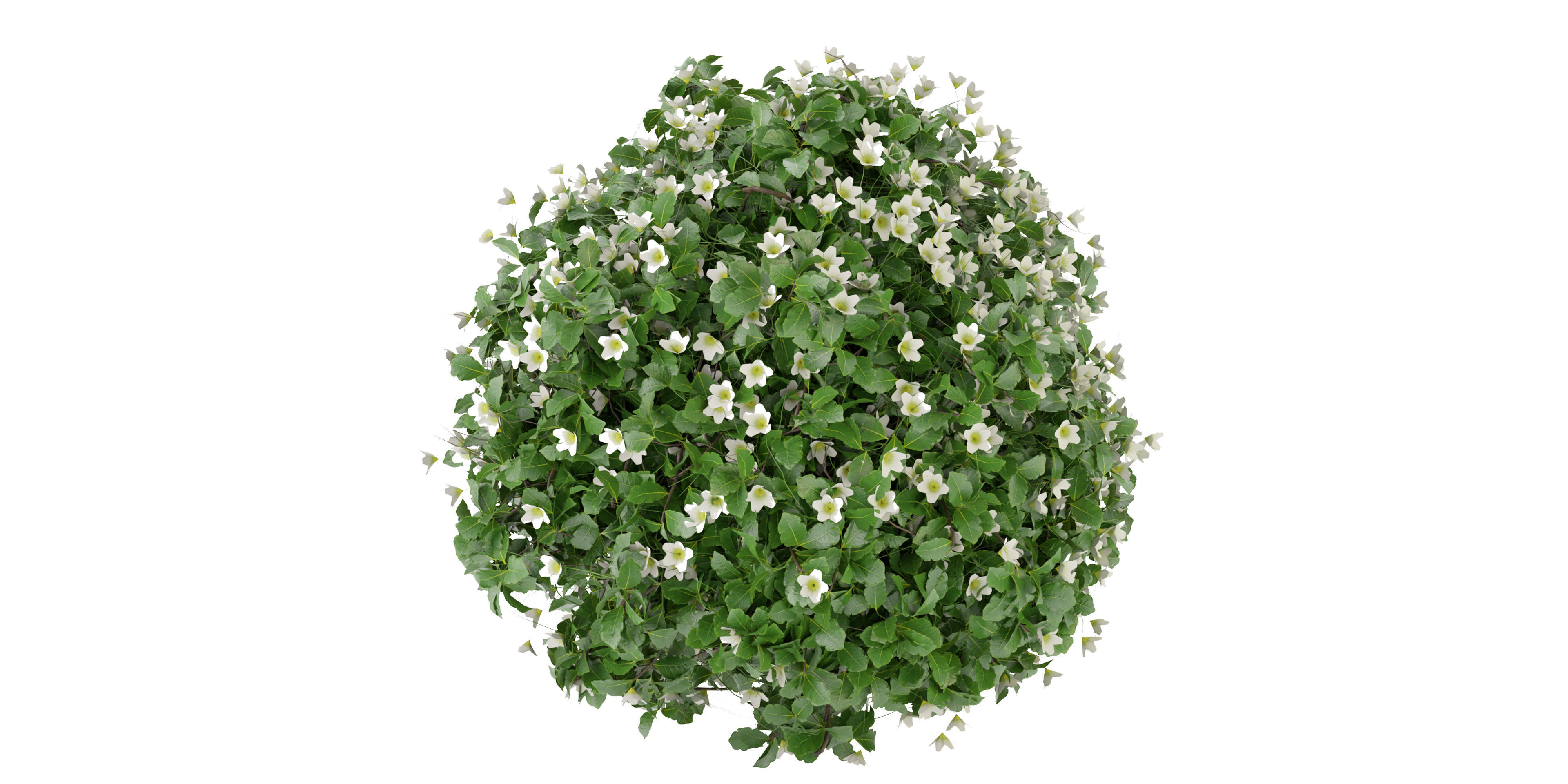 Collection plant vol 357 - blender model  3D model_2