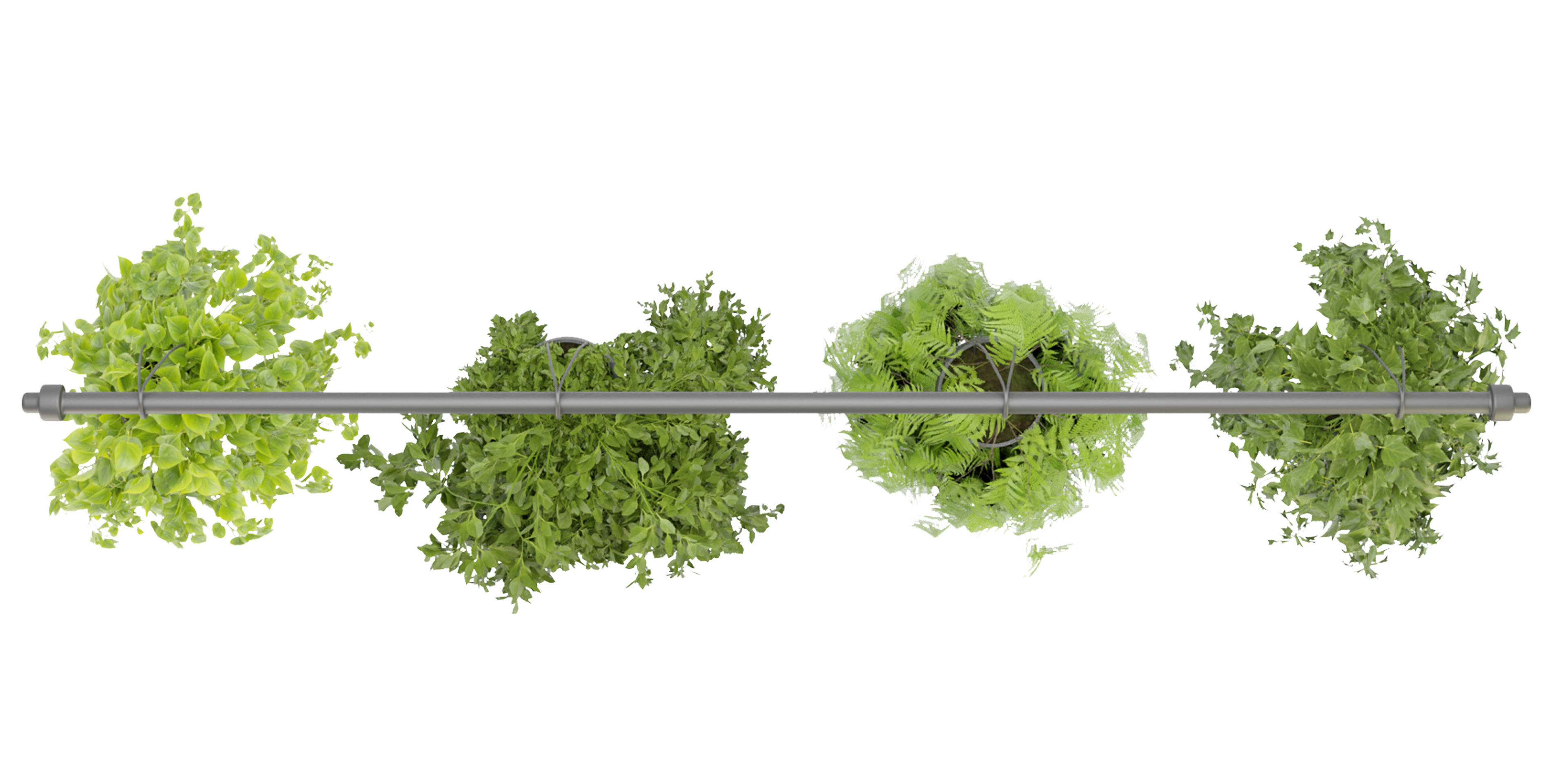 Collection plant vol 360  - blender model  3D model_5