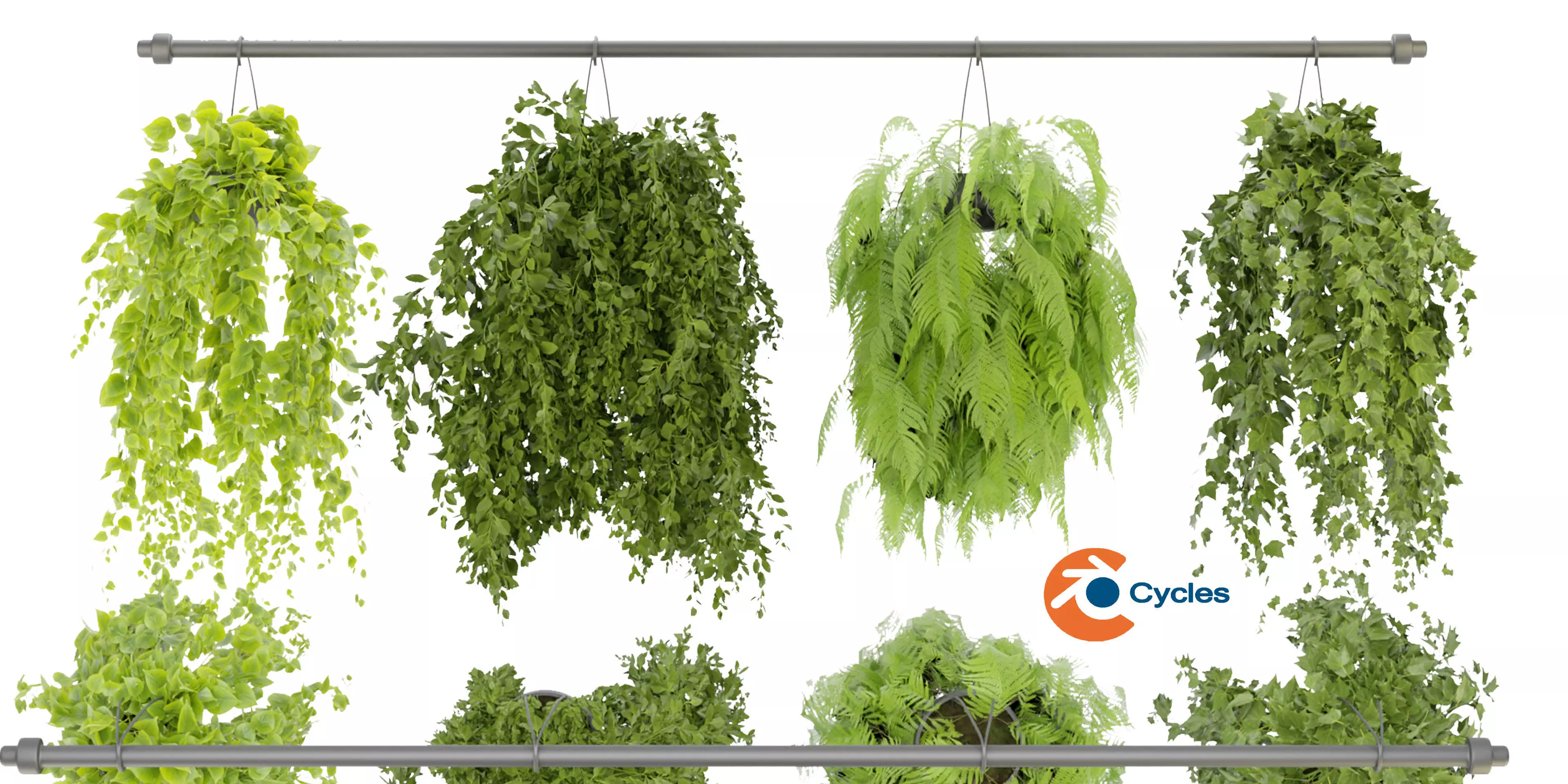 Collection plant vol 360  - blender model  3D model_0