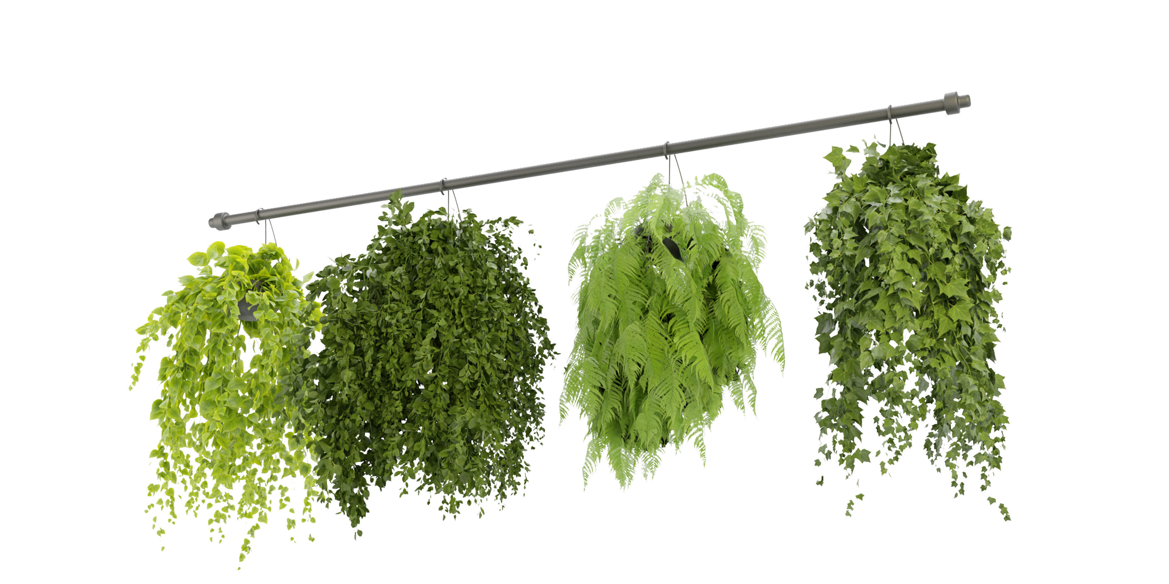 Collection plant vol 360  - blender model  3D model_4