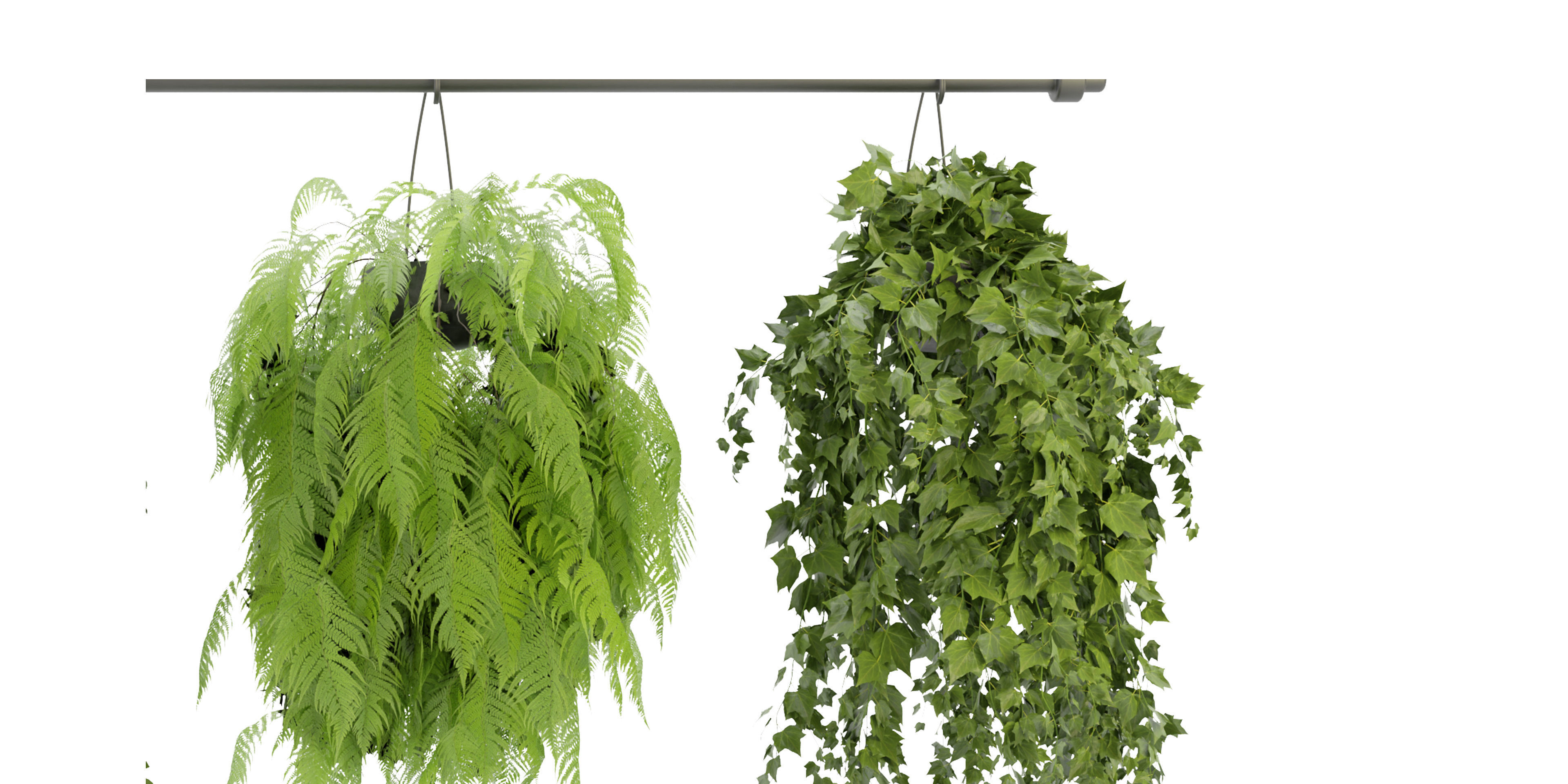 Collection plant vol 360  - blender model  3D model_3