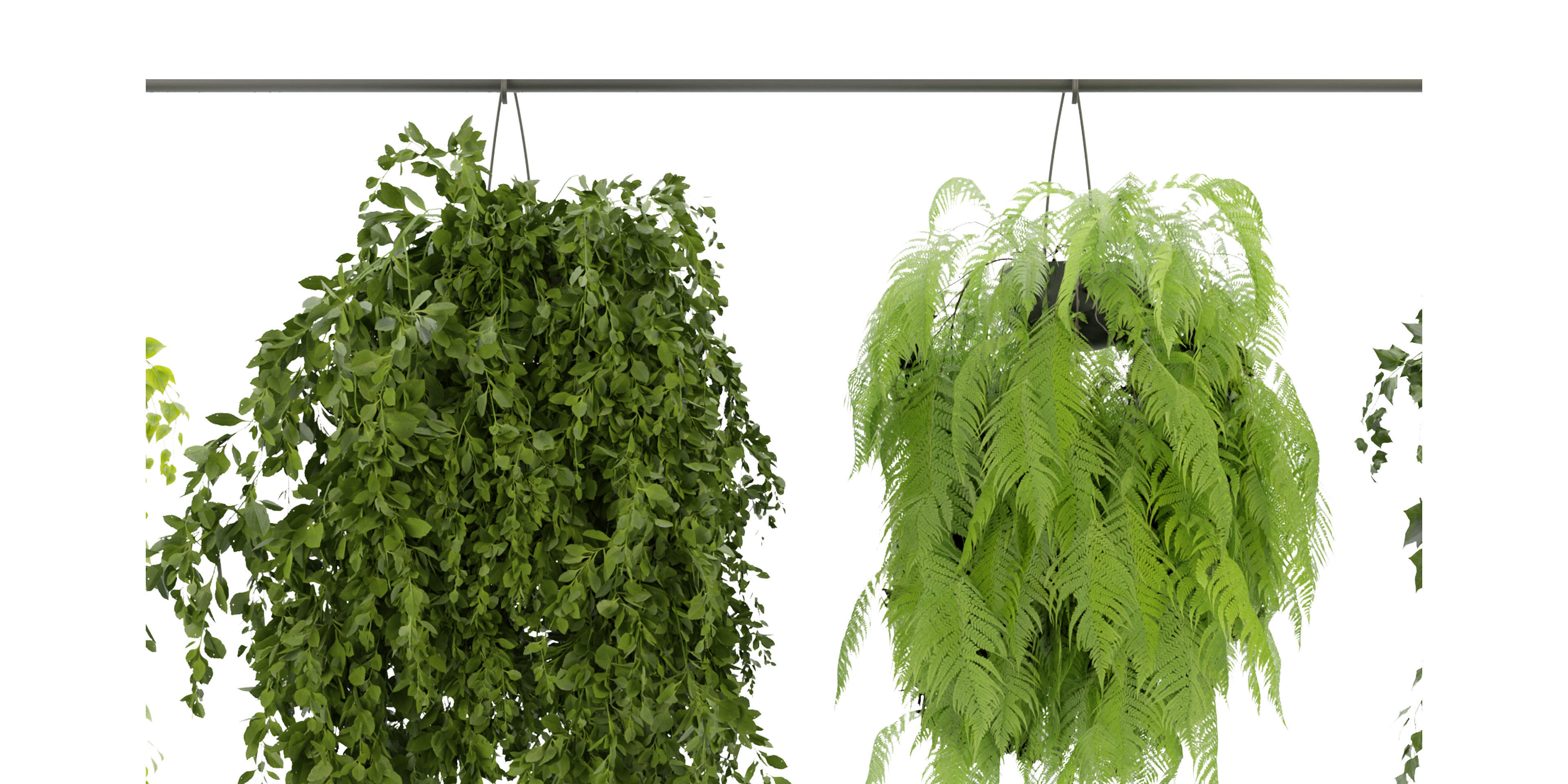 Collection plant vol 360  - blender model  3D model_2