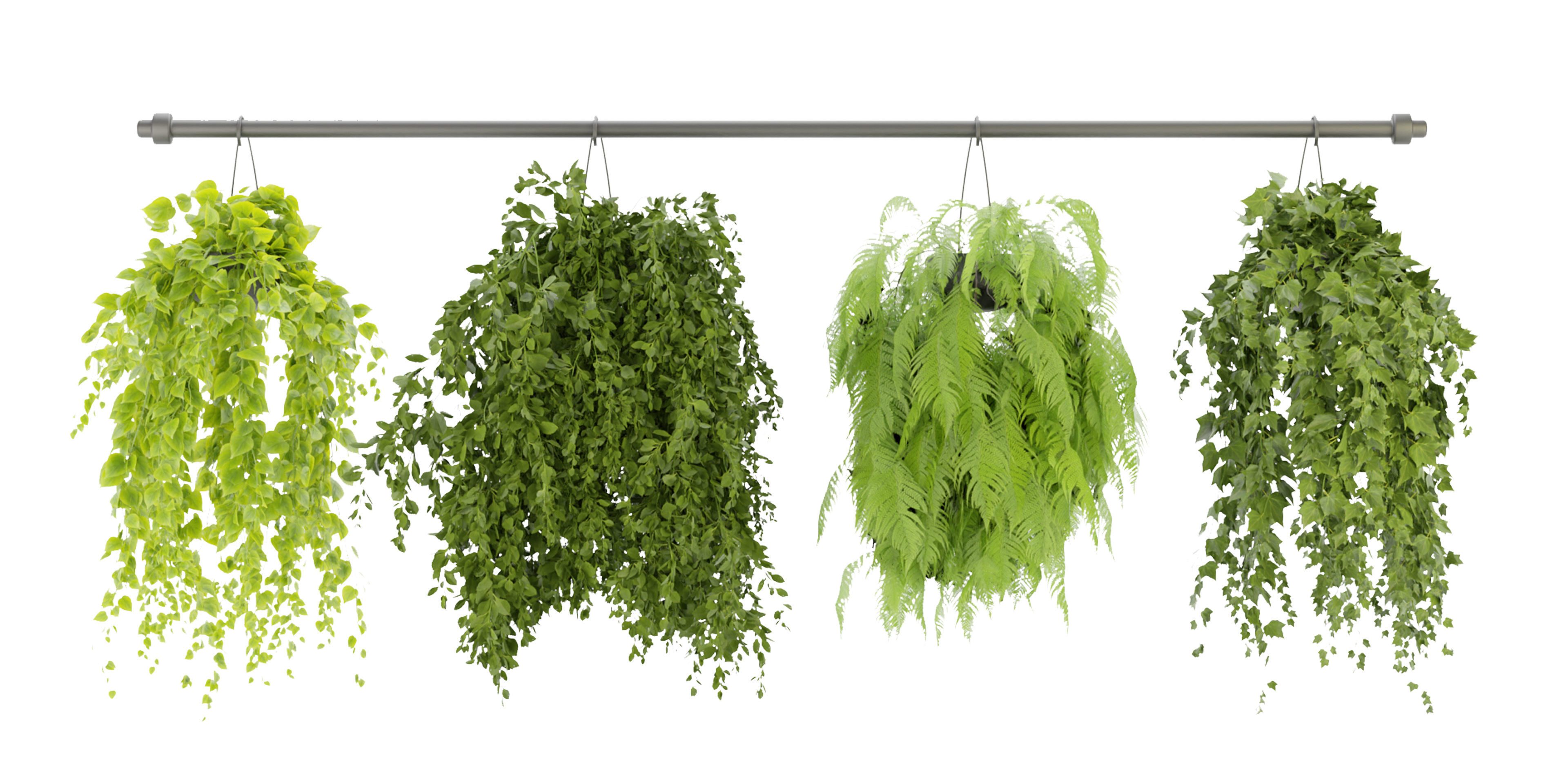 Collection plant vol 360  - blender model  3D model_1