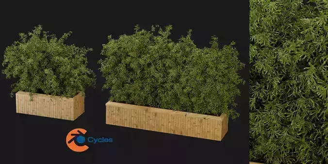 Collection plant vol 362  - blender model 