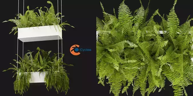 Collection plant vol 363 - blender model