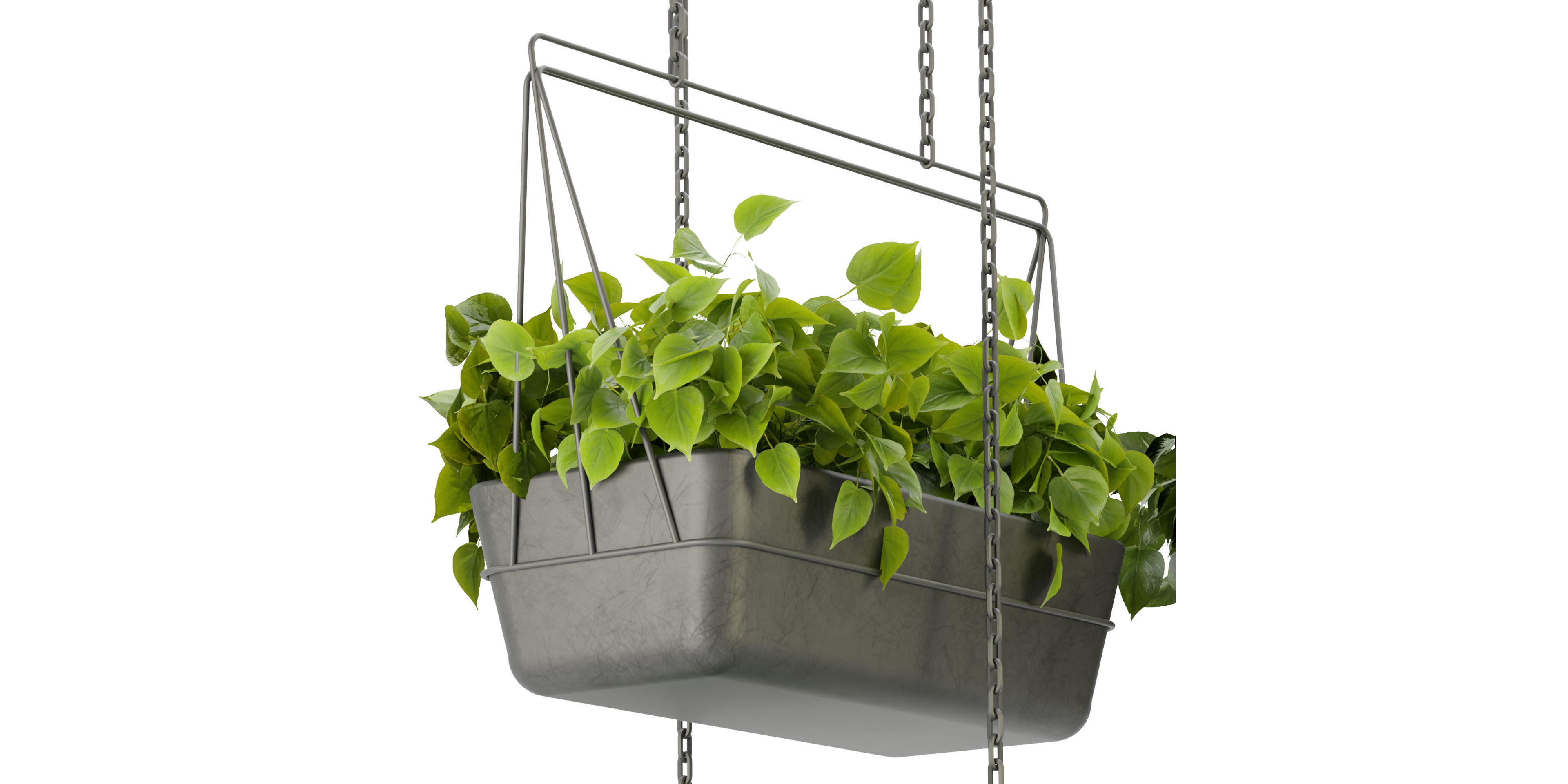 Collection plant vol 368  - blender model  3D model_5