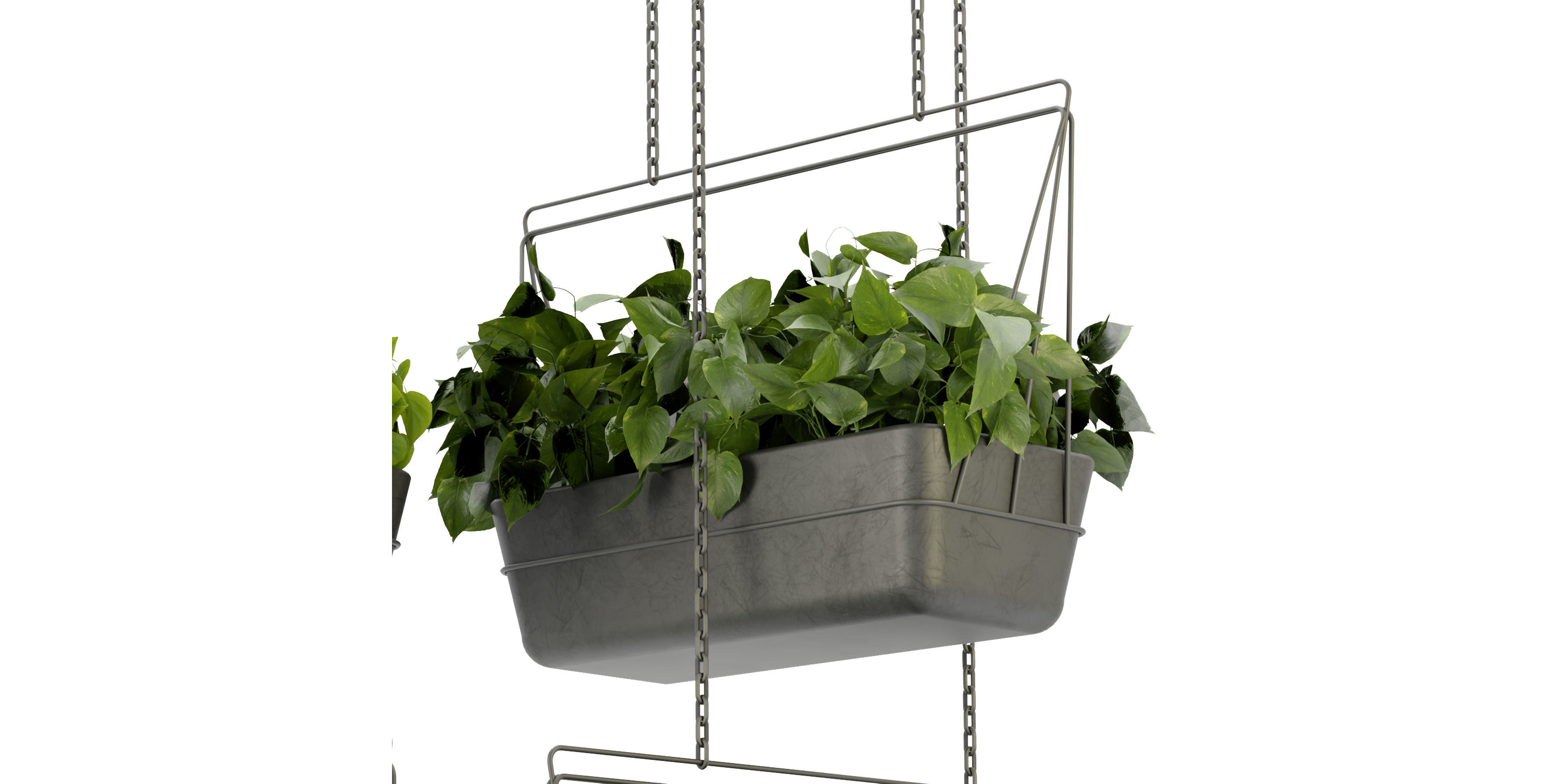 Collection plant vol 368  - blender model  3D model_4