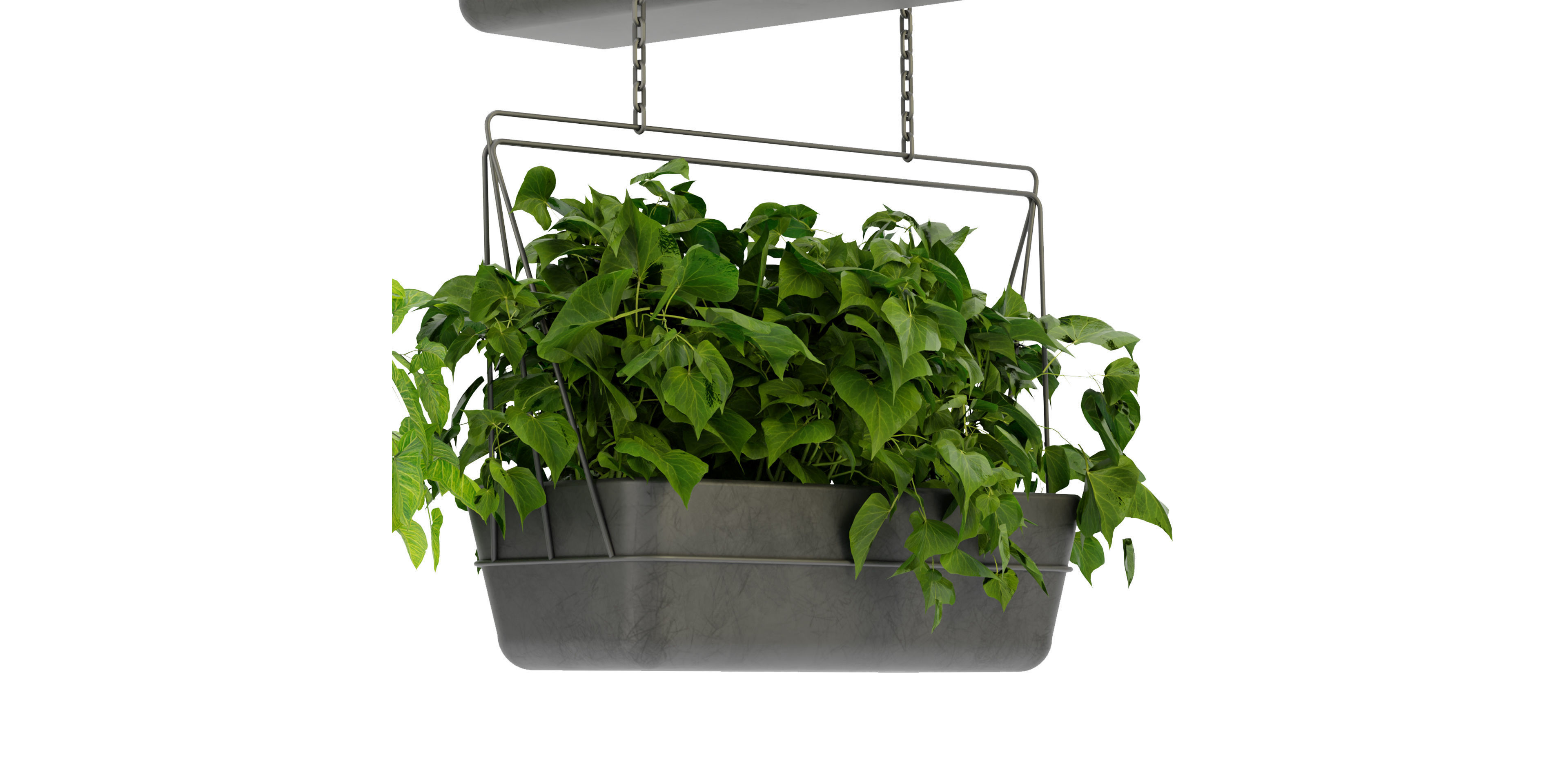 Collection plant vol 368  - blender model  3D model_3