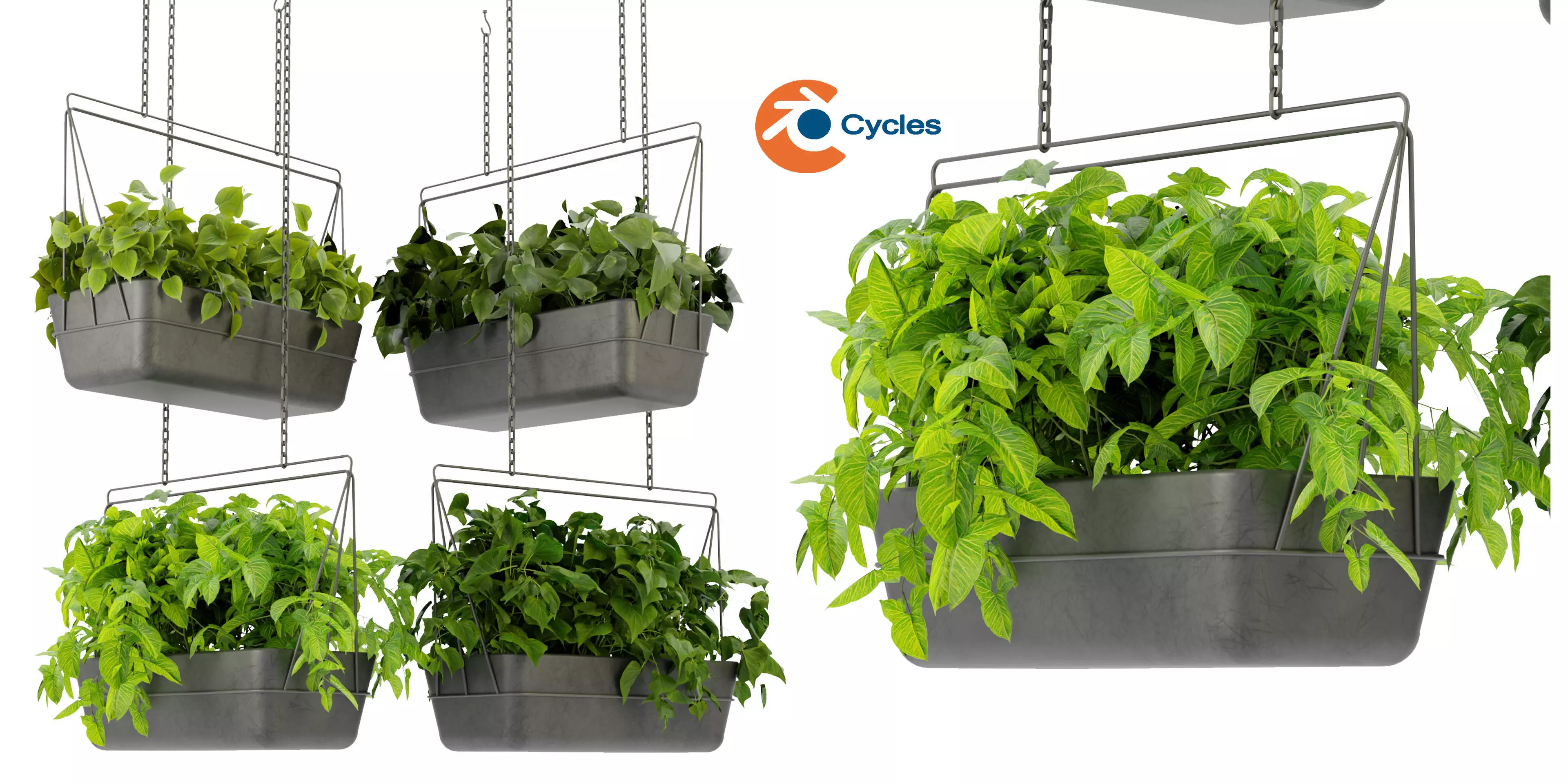 Collection plant vol 368  - blender model  3D model_0