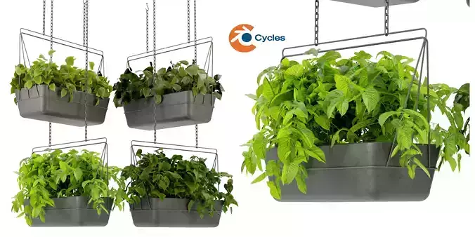 Collection plant vol 368  - blender model 