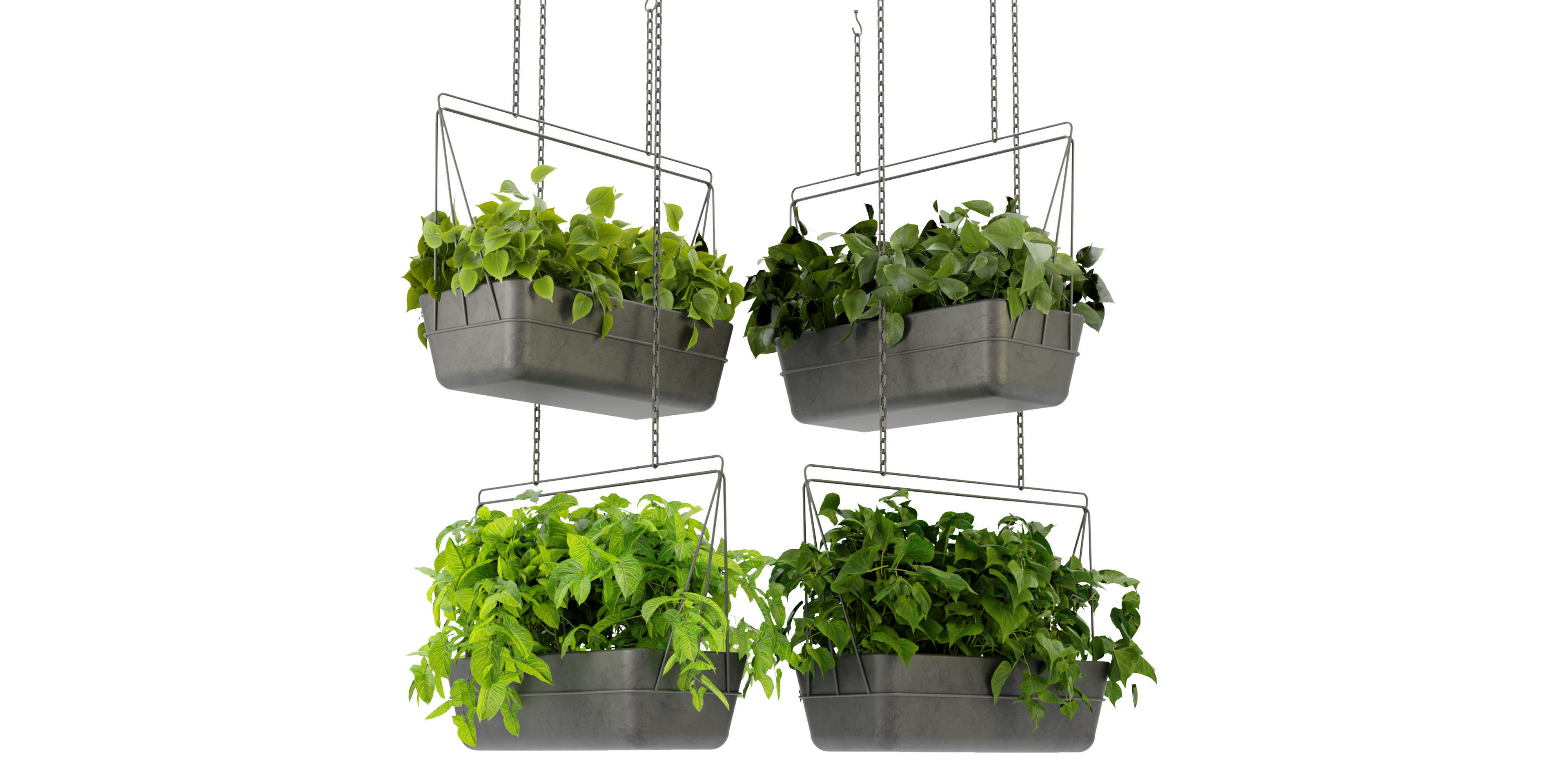 Collection plant vol 368  - blender model  3D model_1