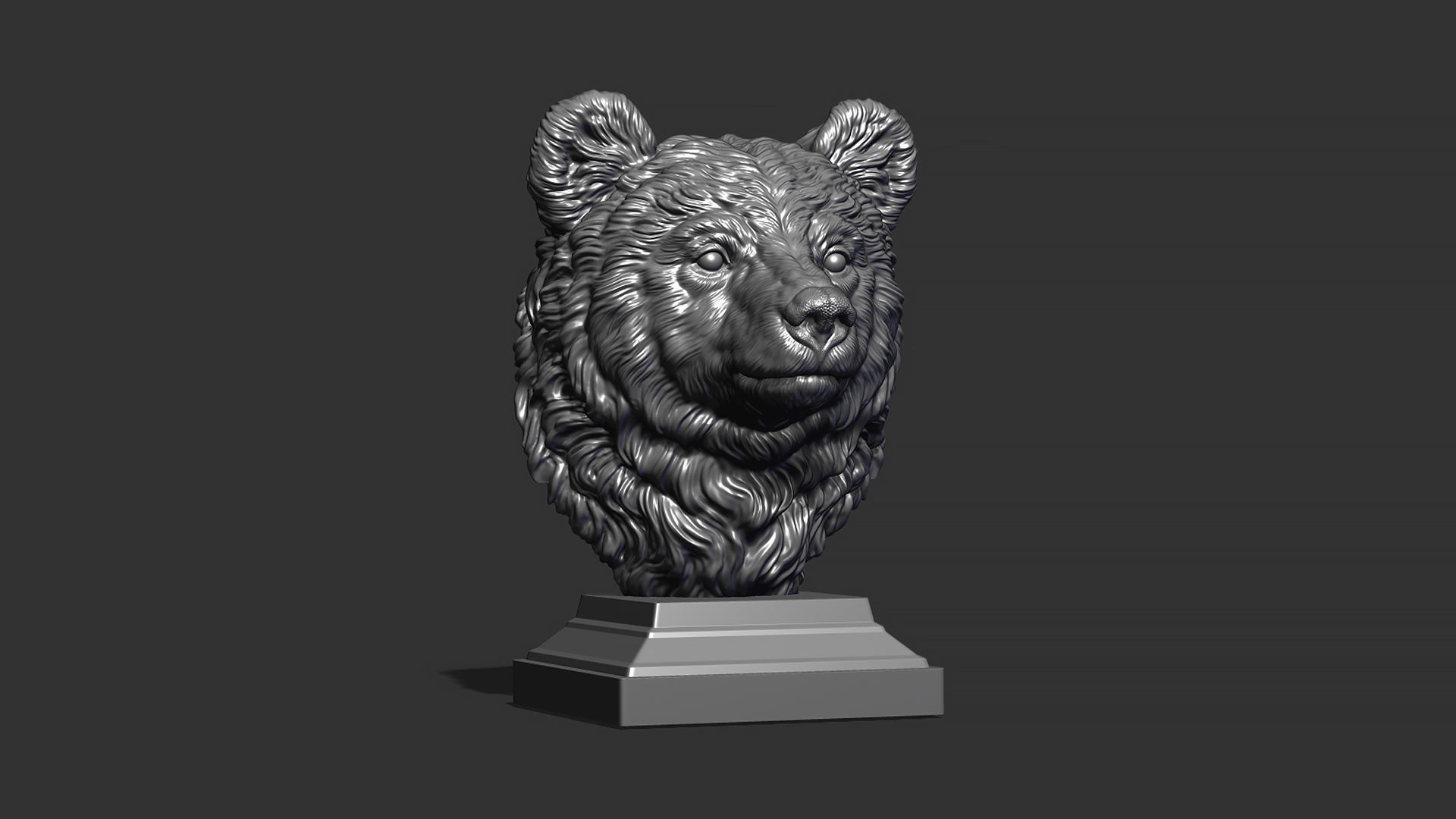 Bear cub 3D print model_13