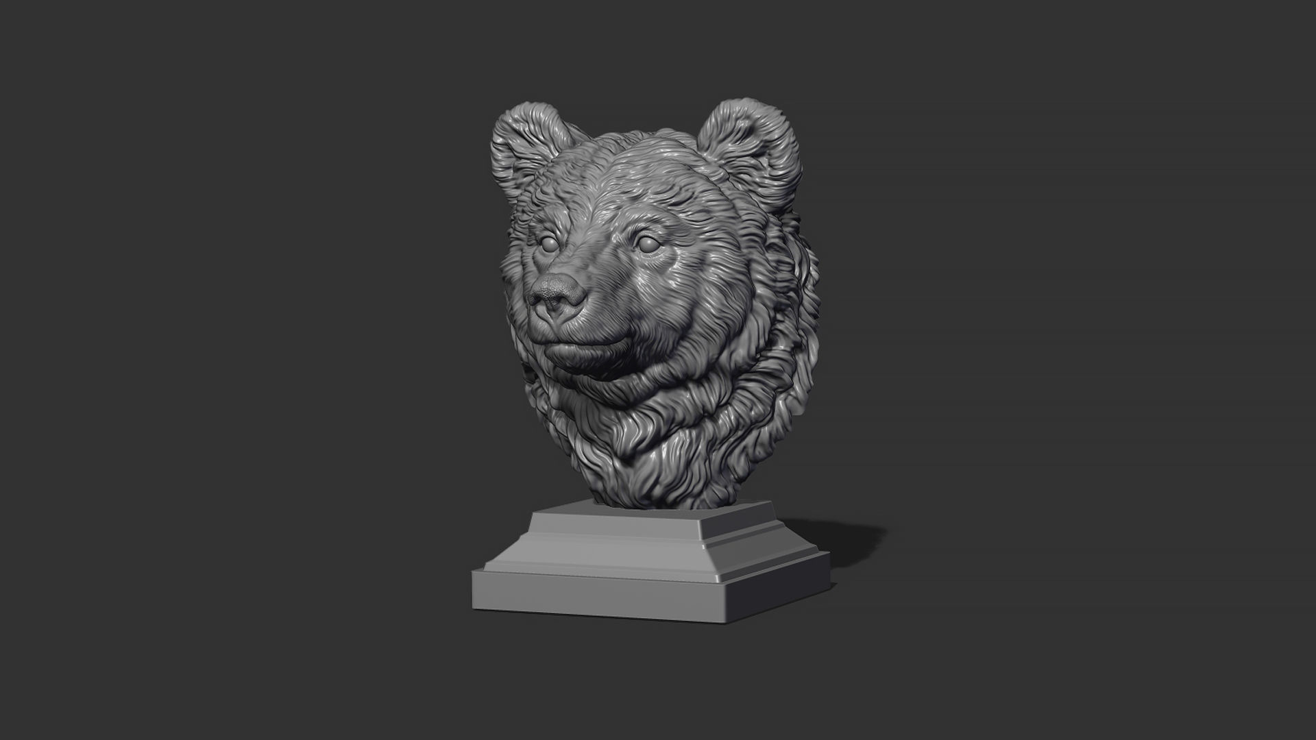 Bear cub 3D print model_18