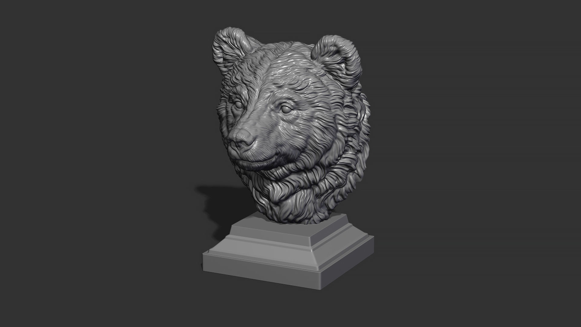 Bear cub 3D print model_15
