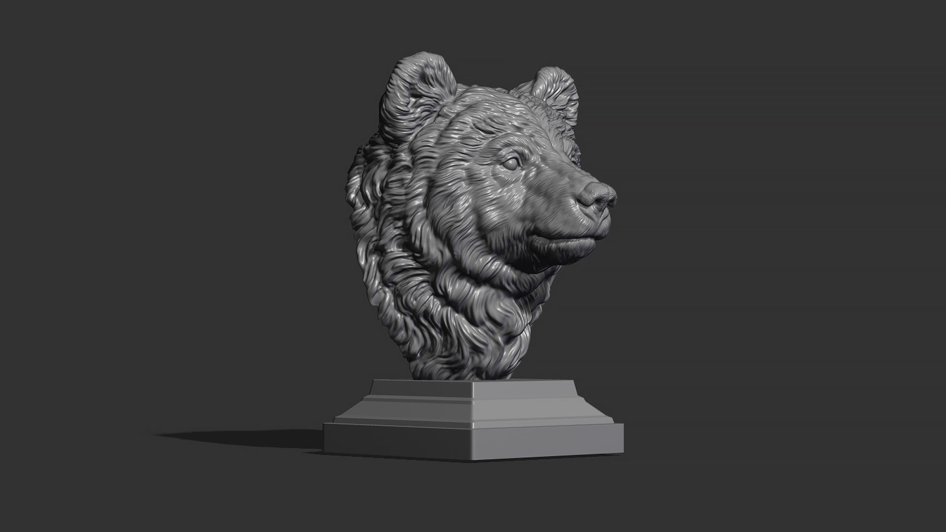 Bear cub 3D print model_20