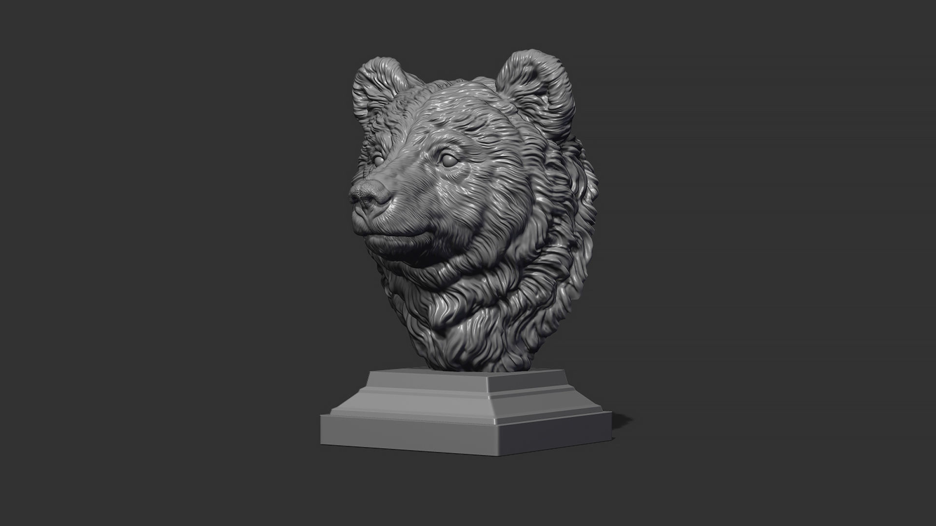 Bear cub 3D print model_14
