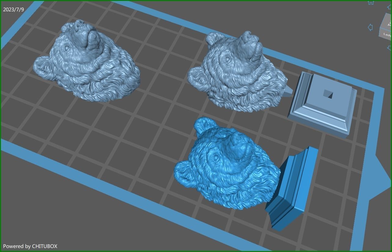 Bear cub 3D print model_26