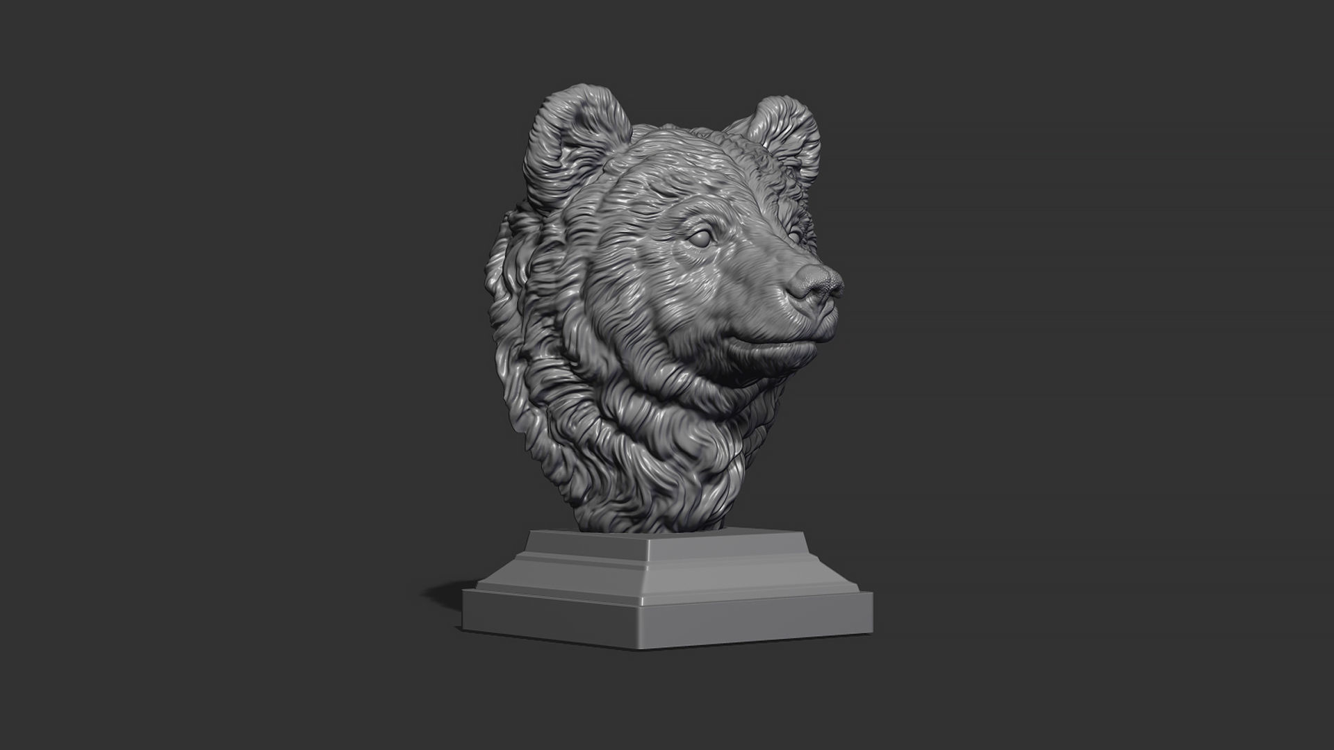 Bear cub 3D print model_16