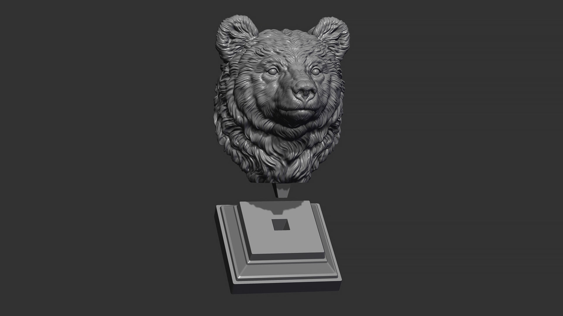 Bear cub 3D print model_22