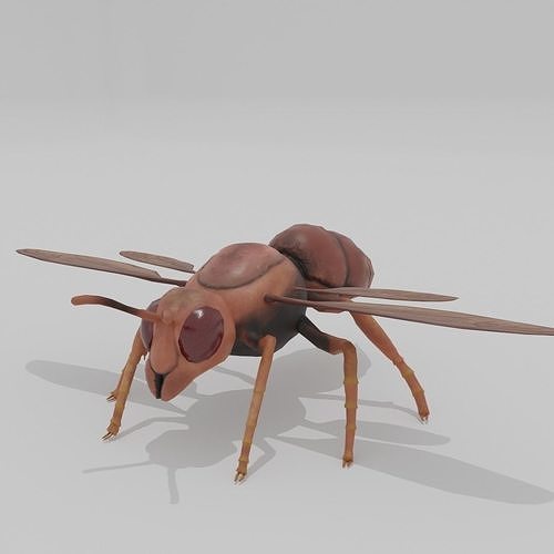 Wasp South American 3d Low poly Free low-poly 3D model
