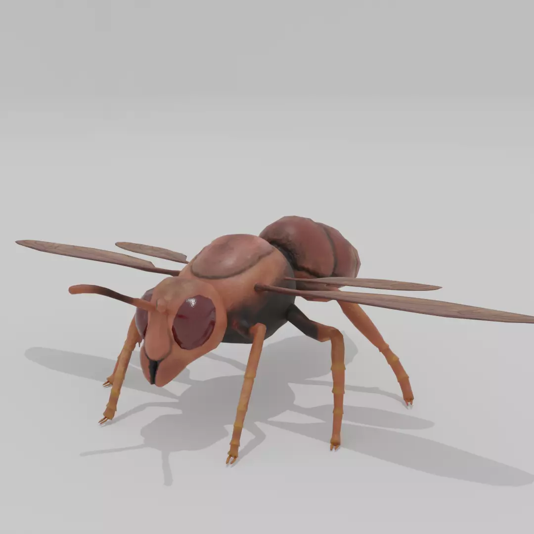 Wasp South American 3d Low poly Free low-poly 3D model