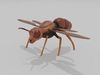 Wasp South American 3d Low poly Free low-poly 3D model_1
