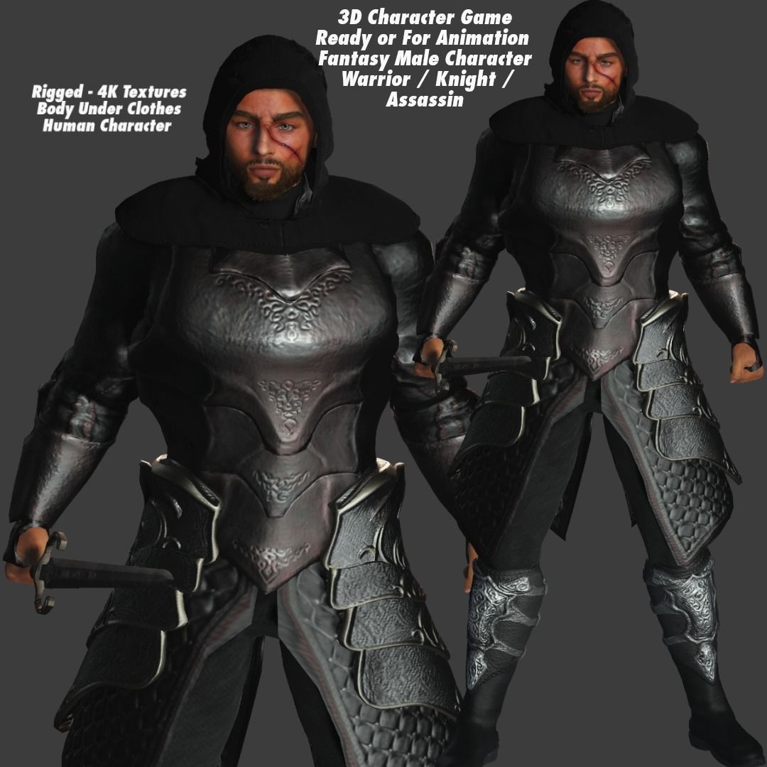 AAA 3D FANTASY MALE ASSASSIN-REALISTIC RIGGED GAME CHARACTER Low-poly 3D model_1