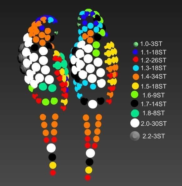 parrot broosh 3D print model_3