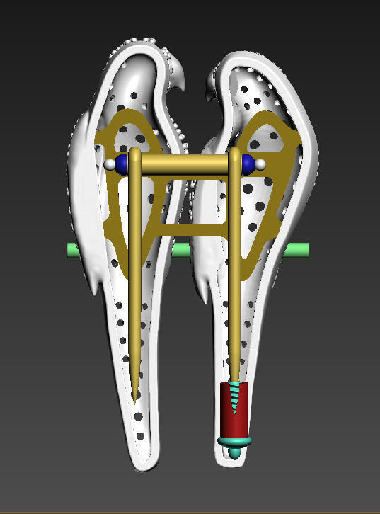 parrot broosh 3D print model_5