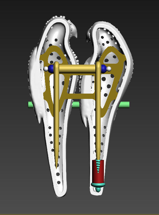 parrot broosh 3D print model_24