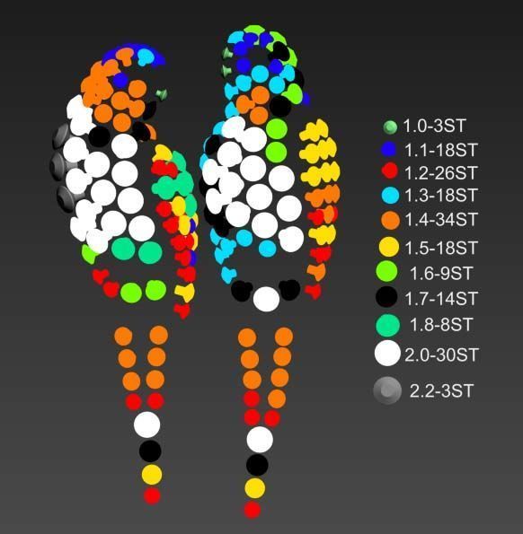 parrot broosh 3D print model_62