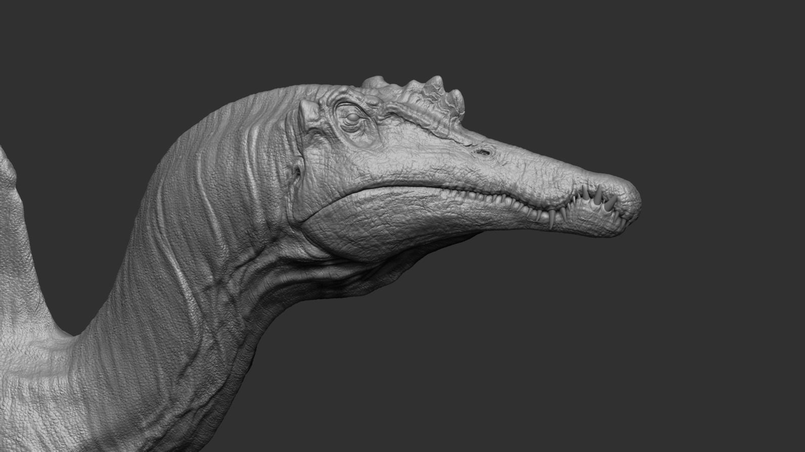 Spinosaurus Low-poly 3D model_15