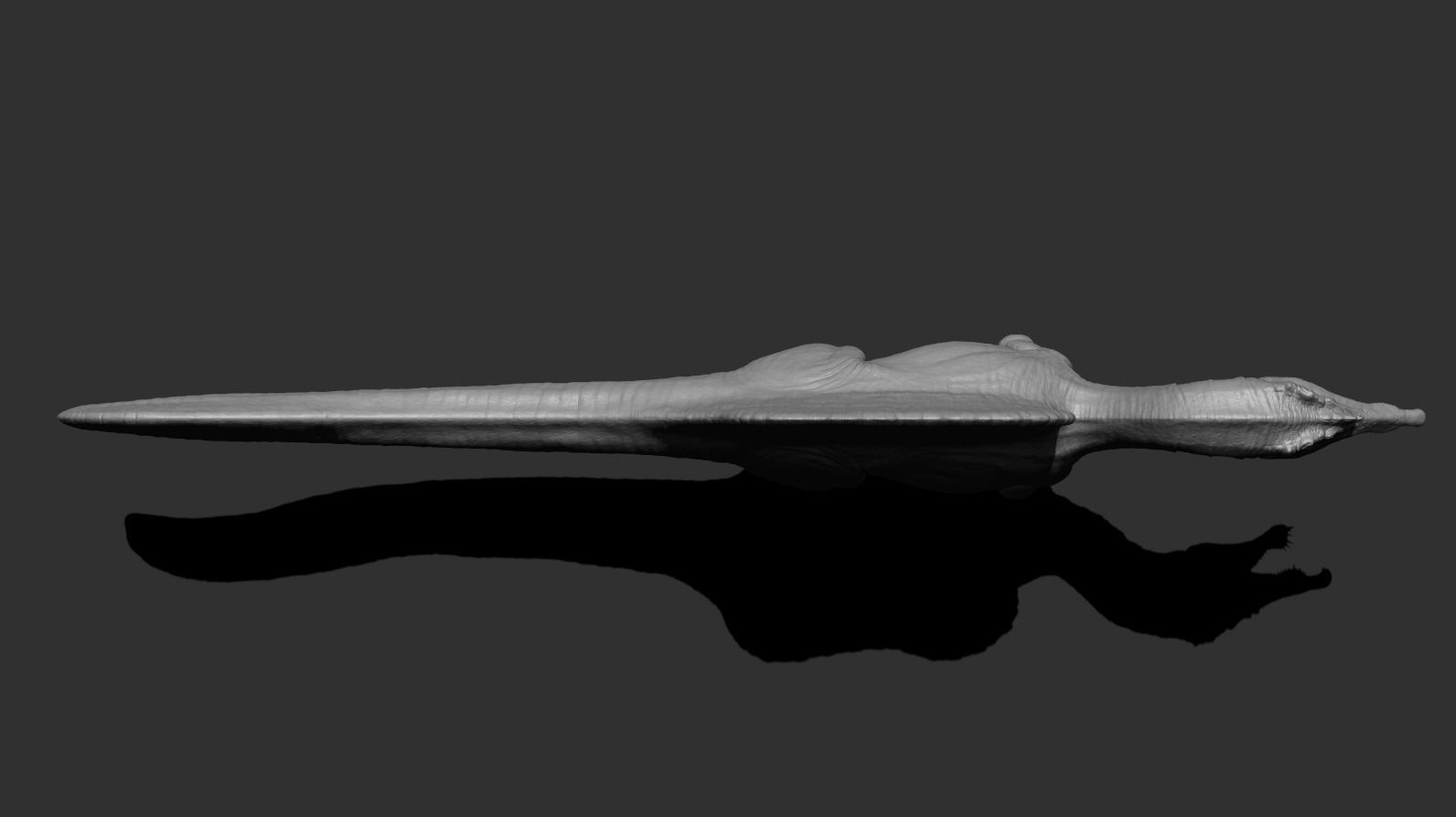 Spinosaurus Low-poly 3D model_19