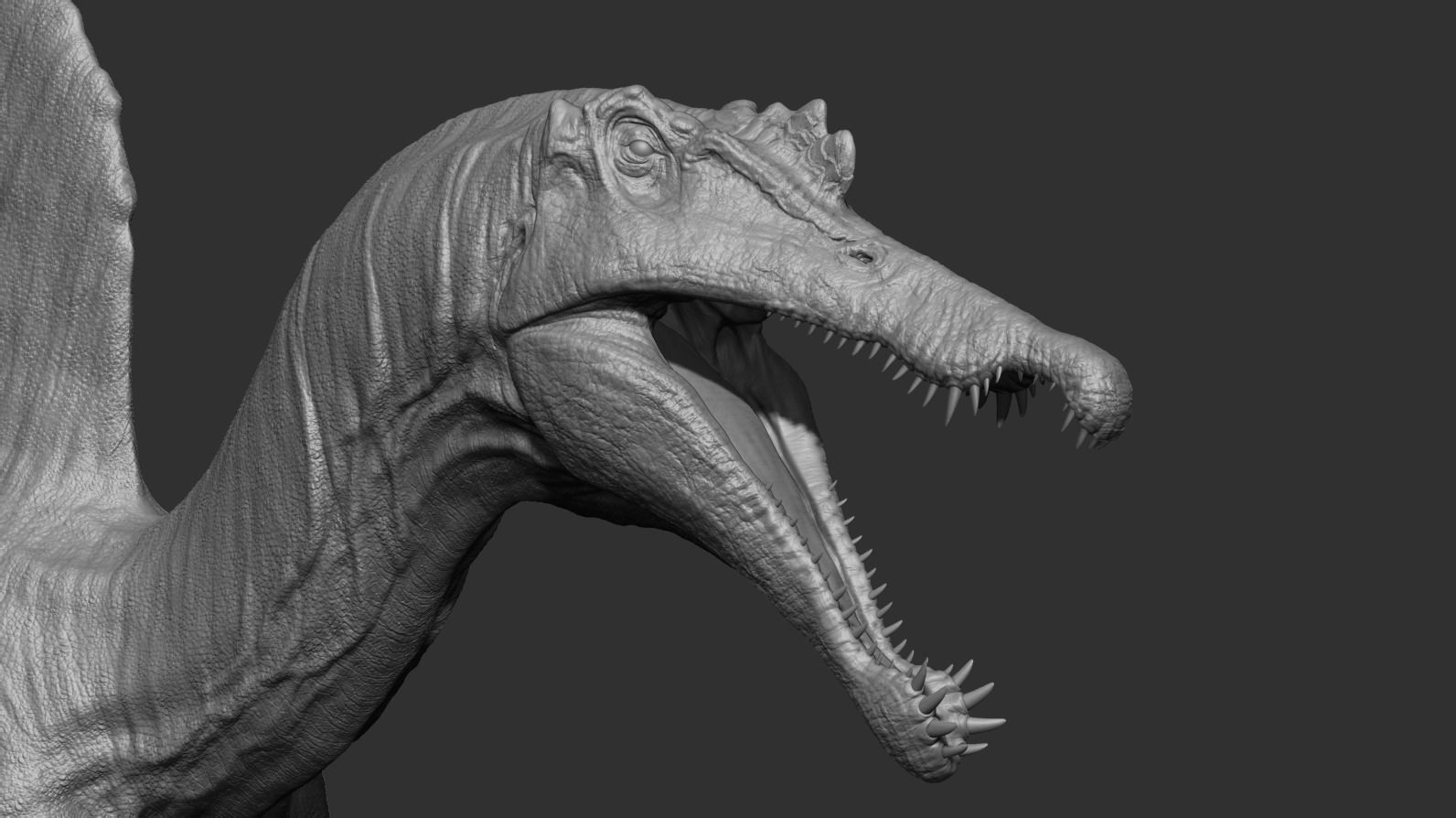 Spinosaurus Low-poly 3D model_21