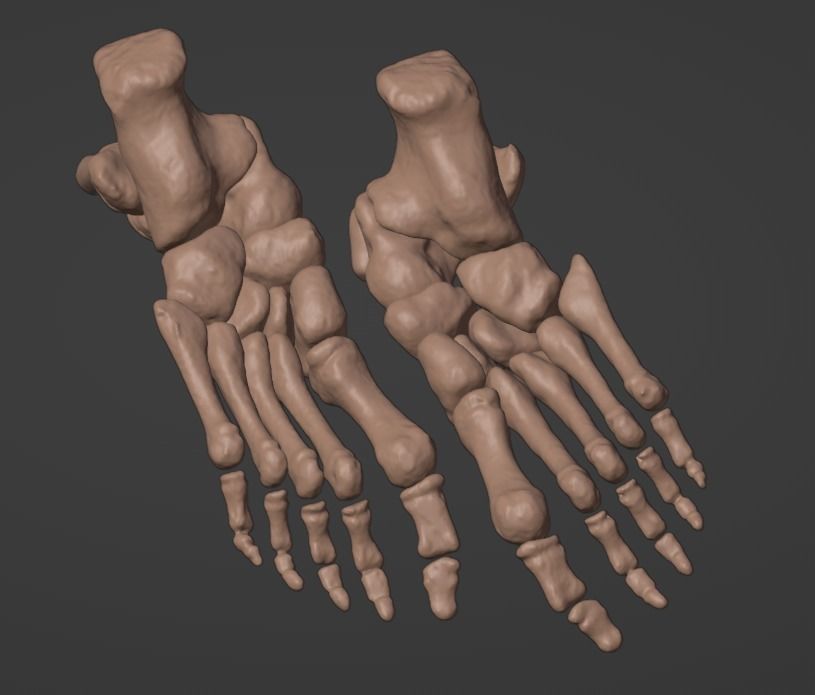 3D Model of Feet 3D print model_6