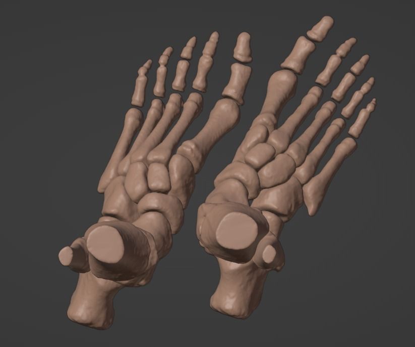 3D Model of Feet 3D print model_5