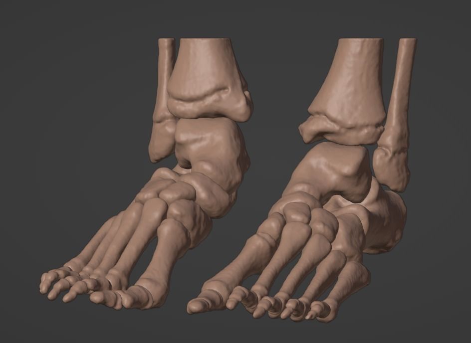 3D Model of Feet 3D print model_4